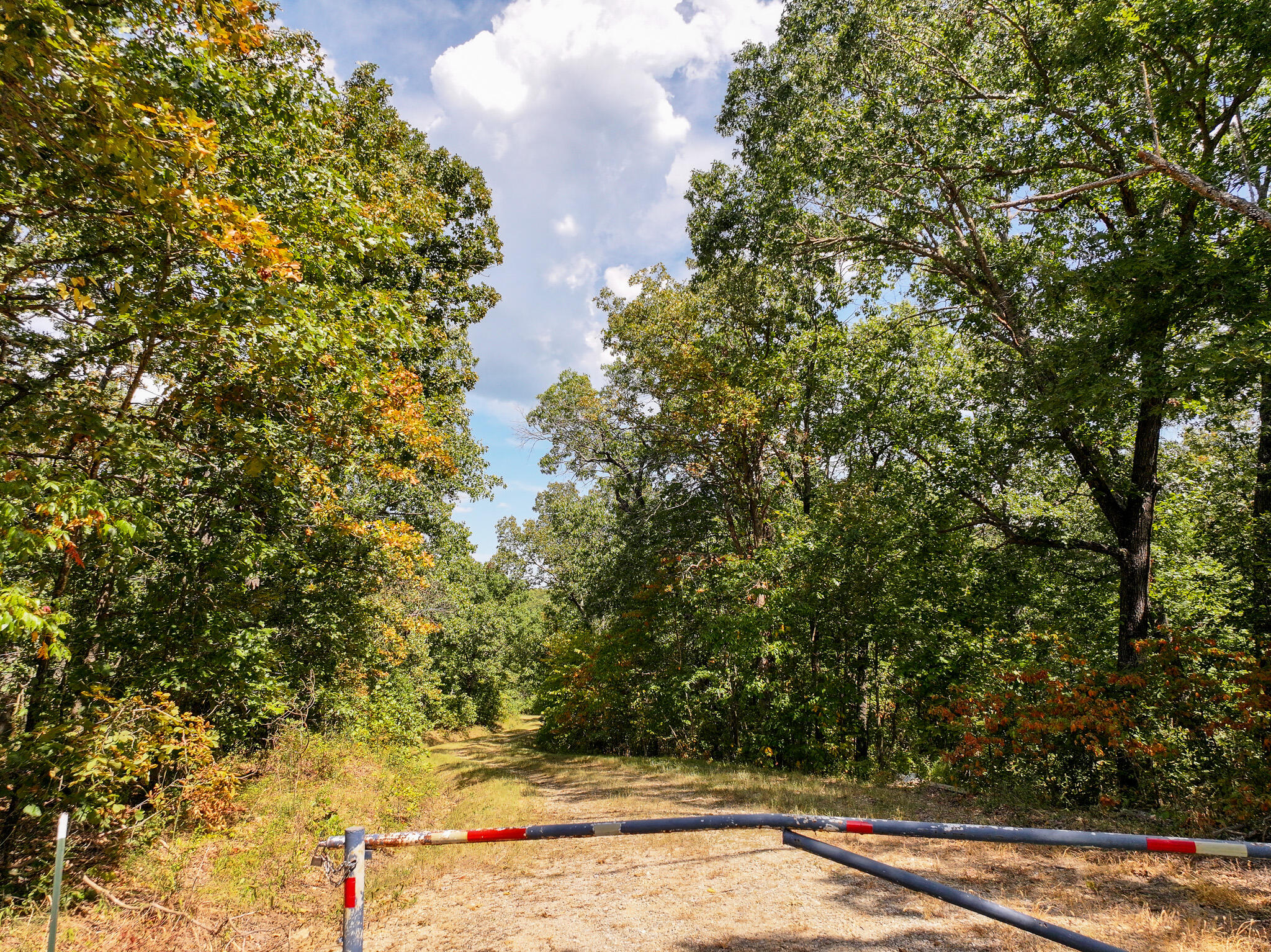 Photo 8 - Land for sale – Tbd  Anne Drive  Edwards, MO