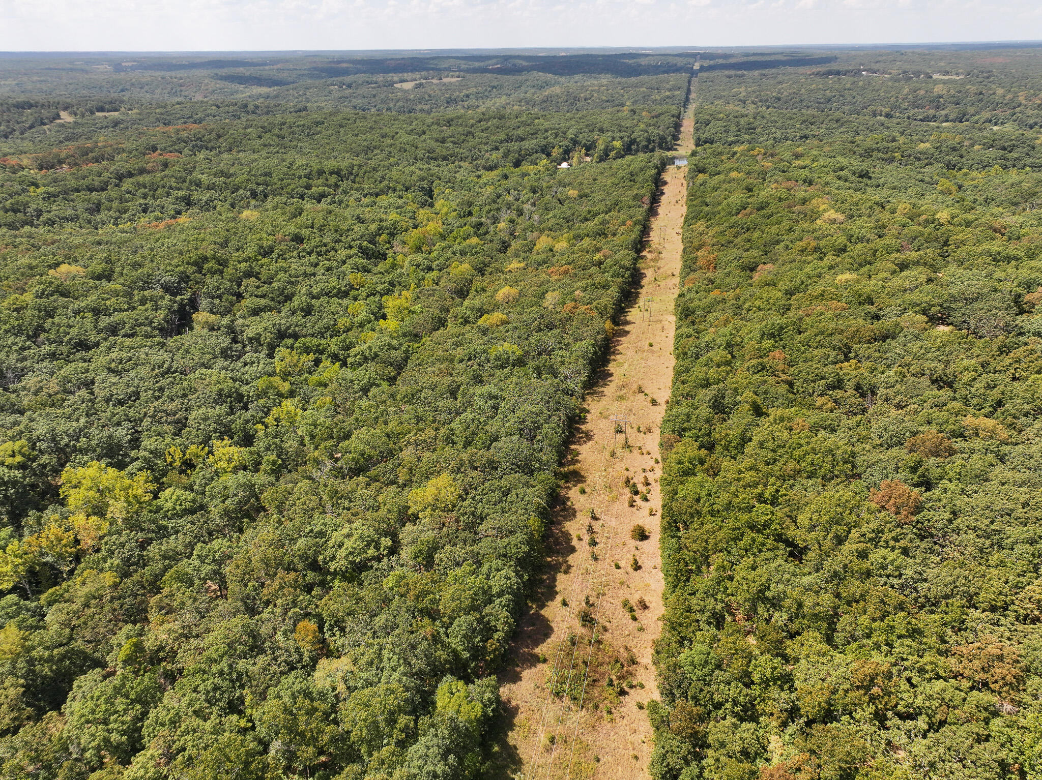 Photo 6 - Land for sale – Tbd  Anne Drive  Edwards, MO