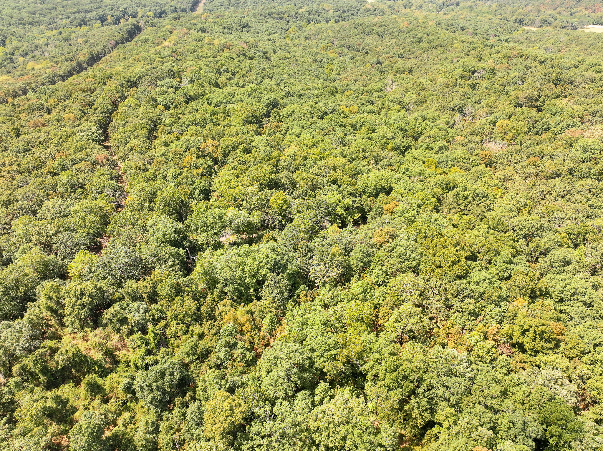 Photo 4 - Land for sale – Tbd  Anne Drive  Edwards, MO