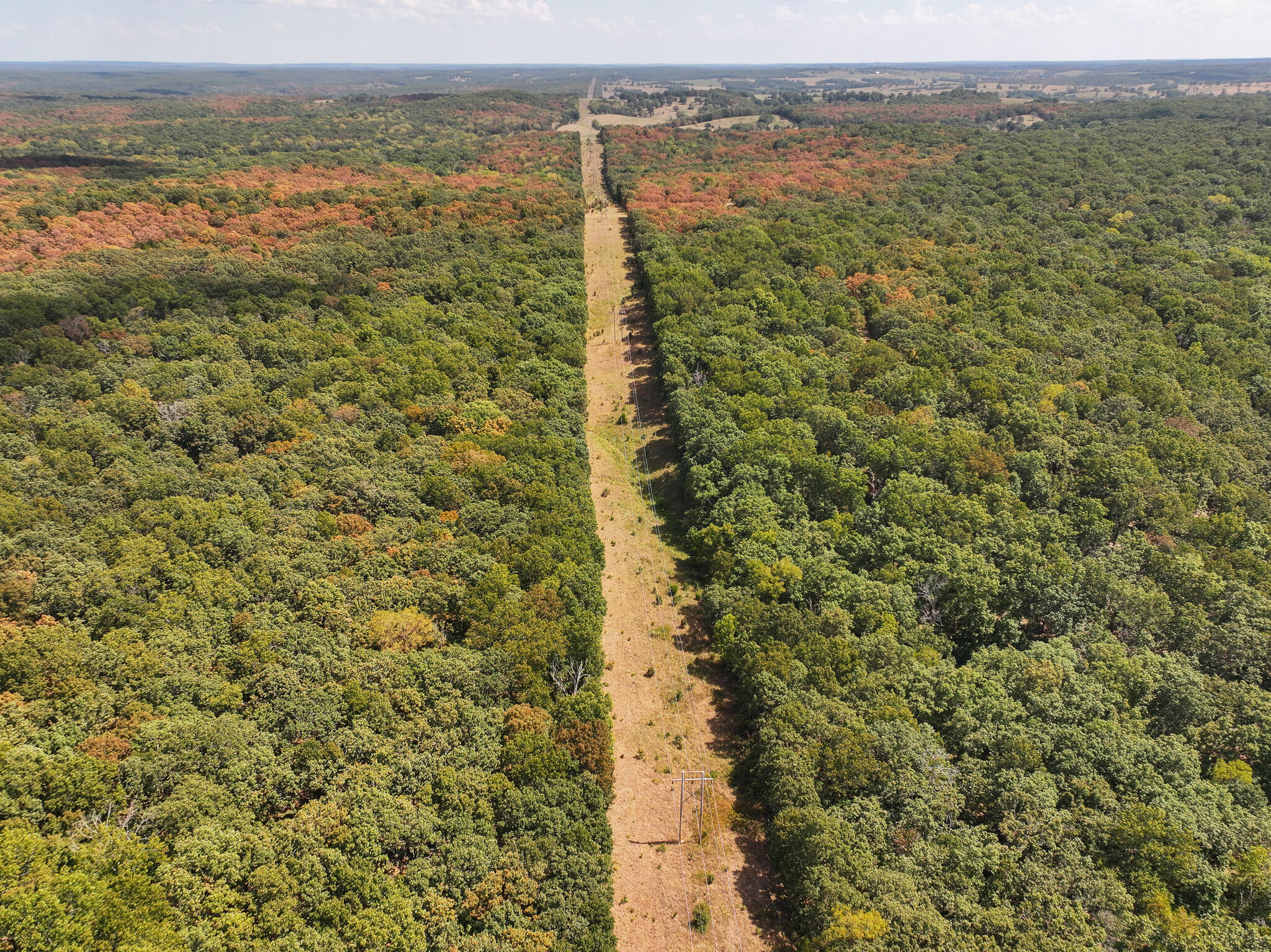 Photo 7 - Land for sale – Tbd  Anne Drive  Edwards, MO