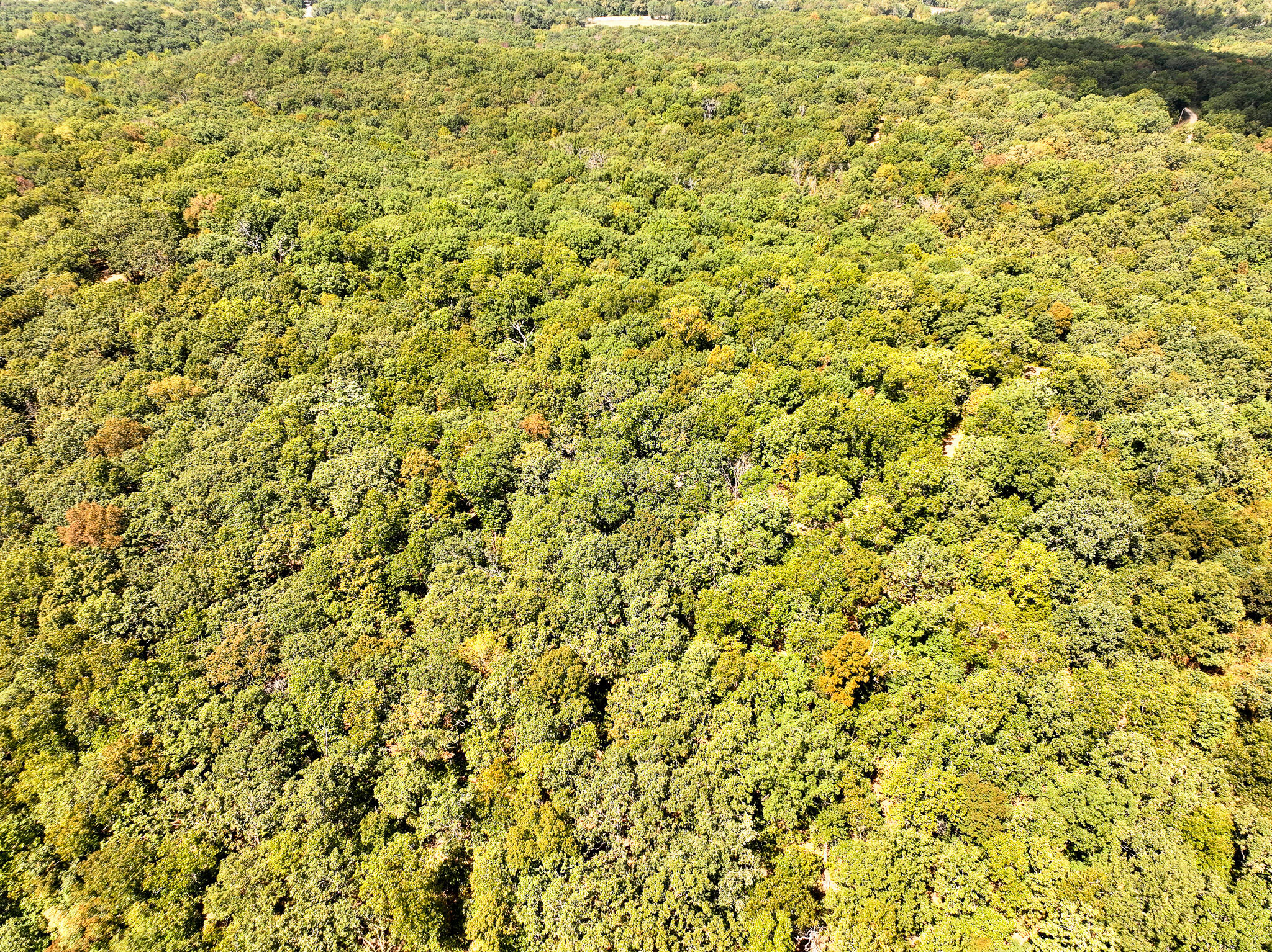 Photo 5 - Land for sale – Tbd  Anne Drive  Edwards, MO