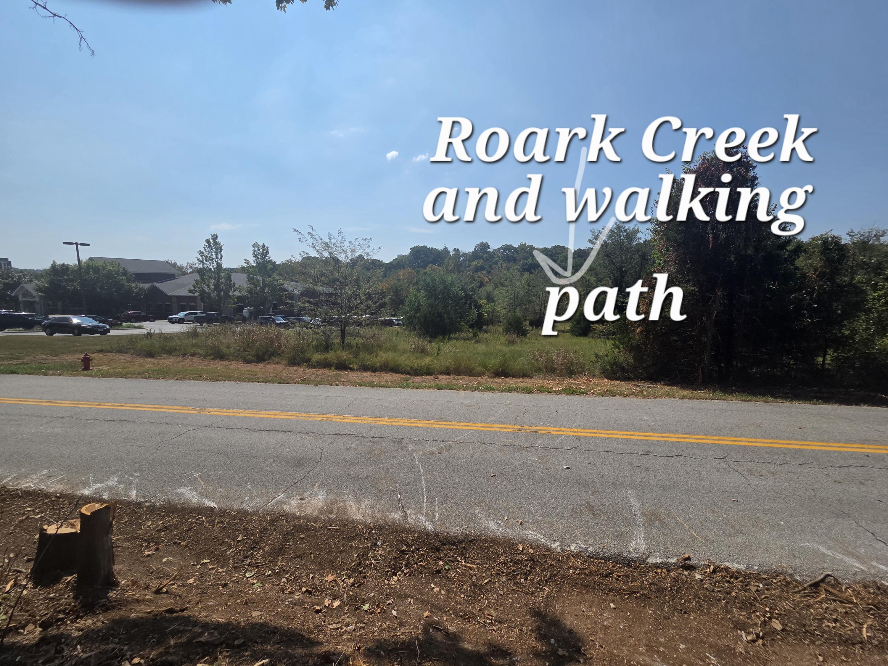 Photo 4 - Land for sale – 000  Cahill Road  Branson, MO