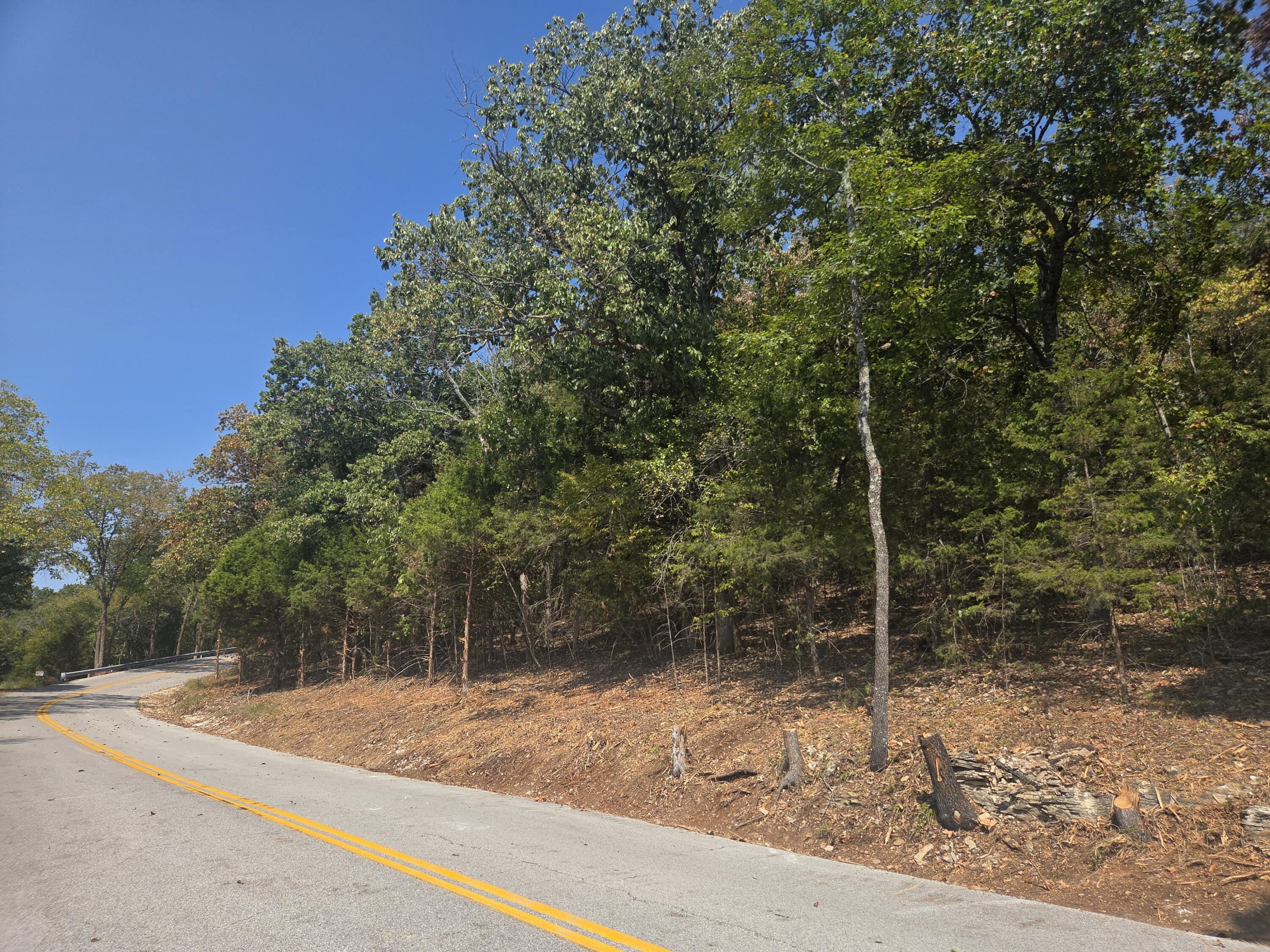 Photo 3 - Land for sale – 000  Cahill Road  Branson, MO