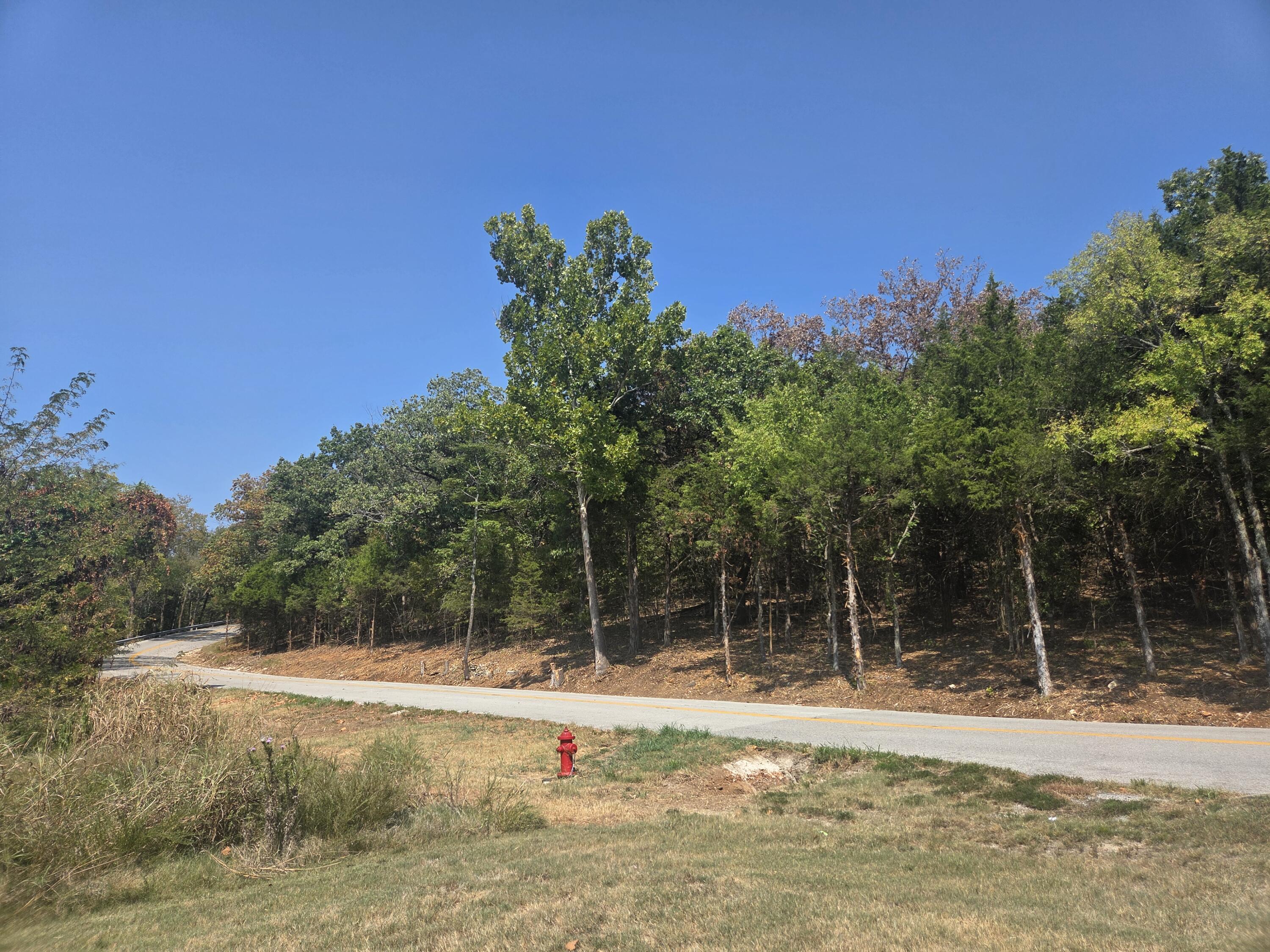 Land for sale – 000 Cahill Road Branson, MO