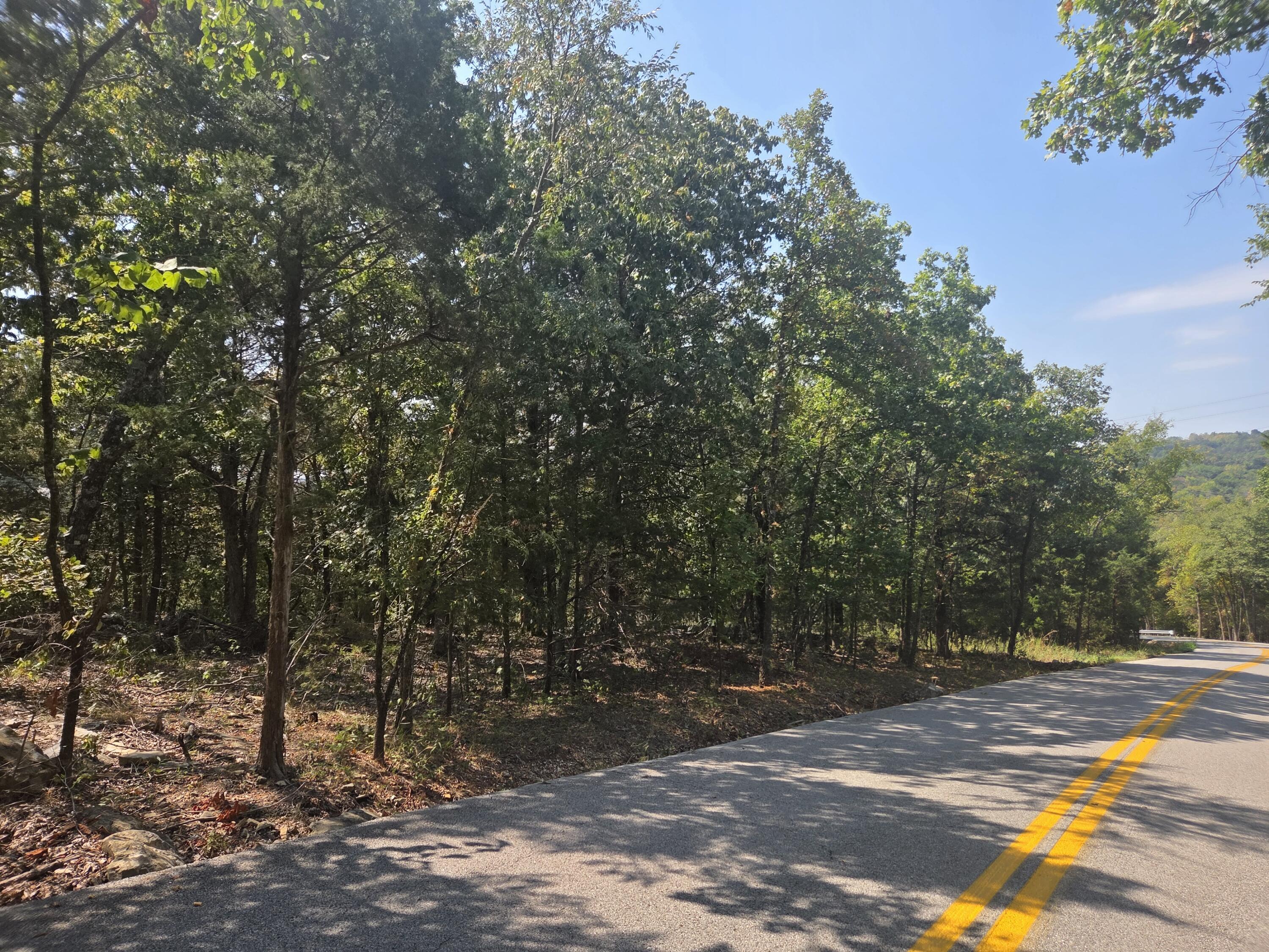 Photo 5 - Land for sale – 000  Cahill Road  Branson, MO