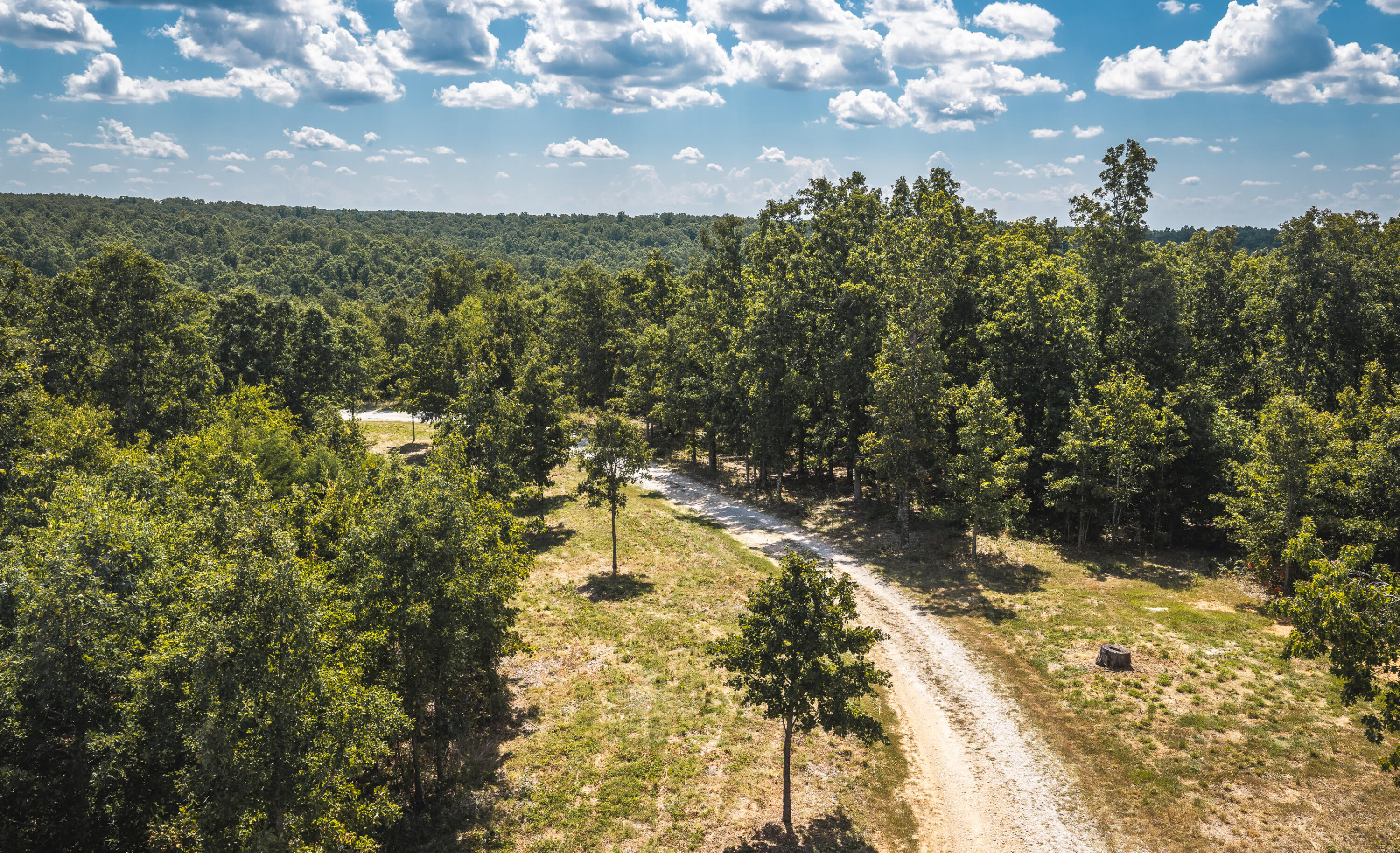 Photo 68 - Farm for sale – 9223  State Highway 32   Salem, MO