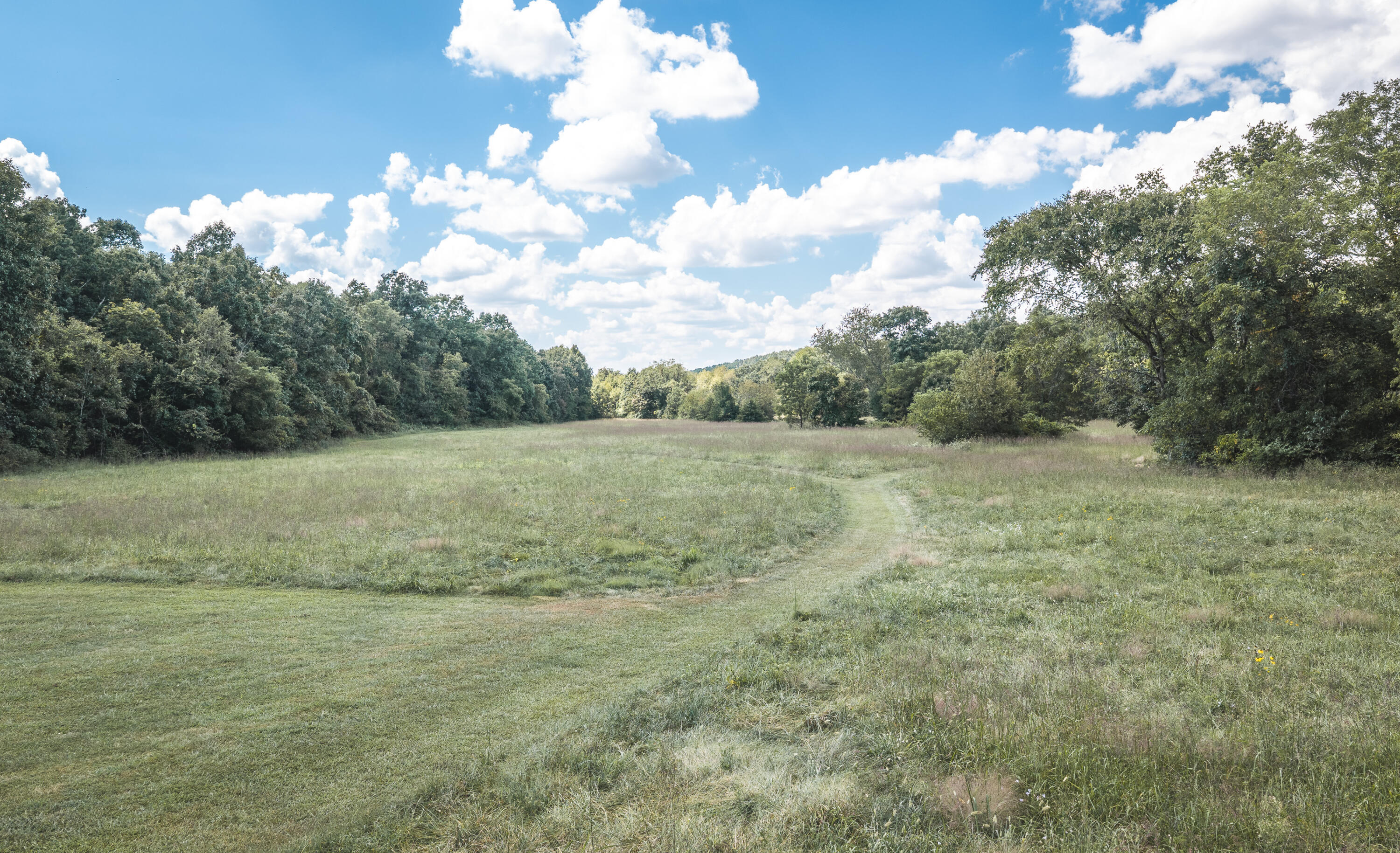 Photo 64 - Farm for sale – 9223  State Highway 32   Salem, MO