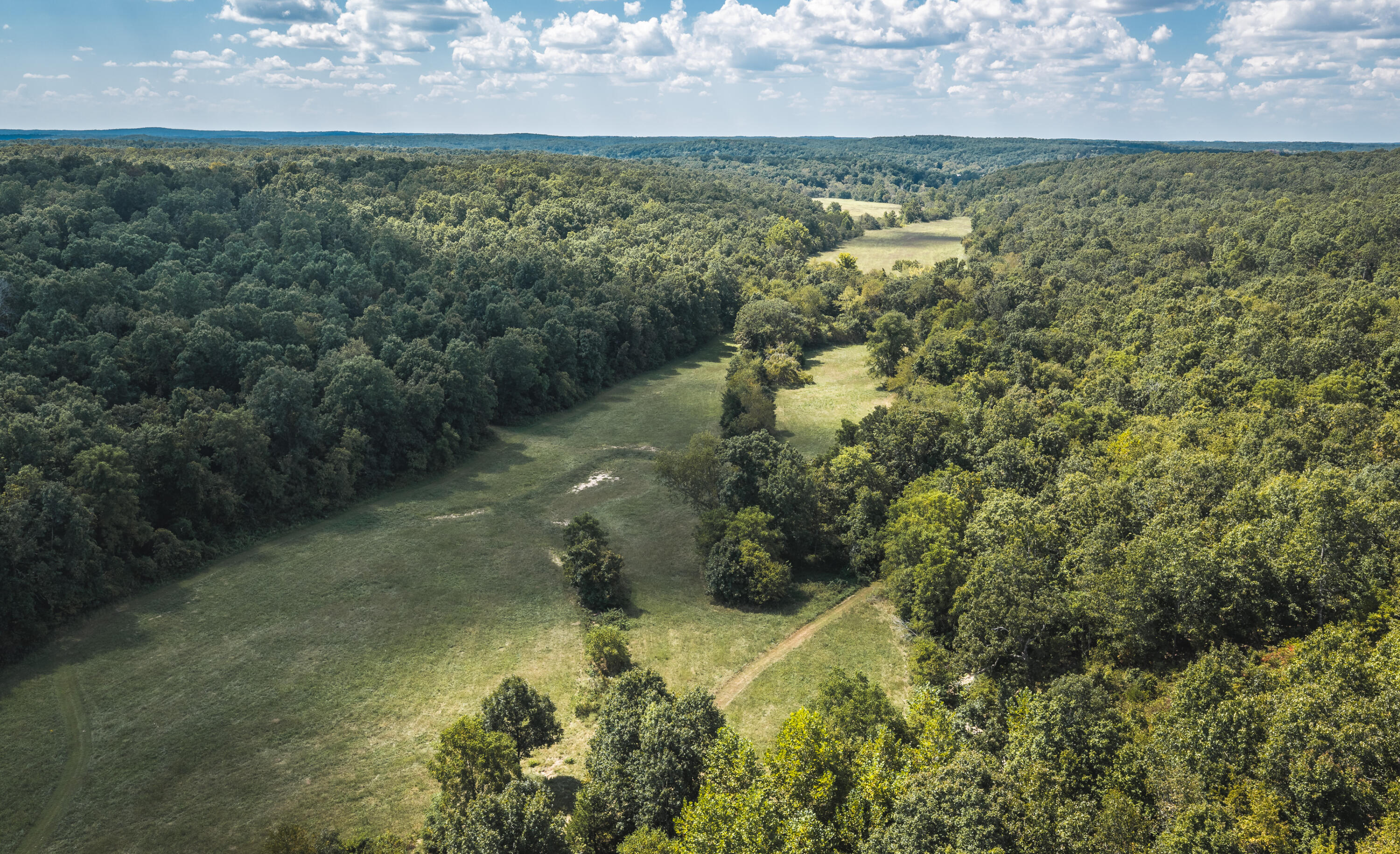 Photo 76 - Farm for sale – 9223  State Highway 32   Salem, MO
