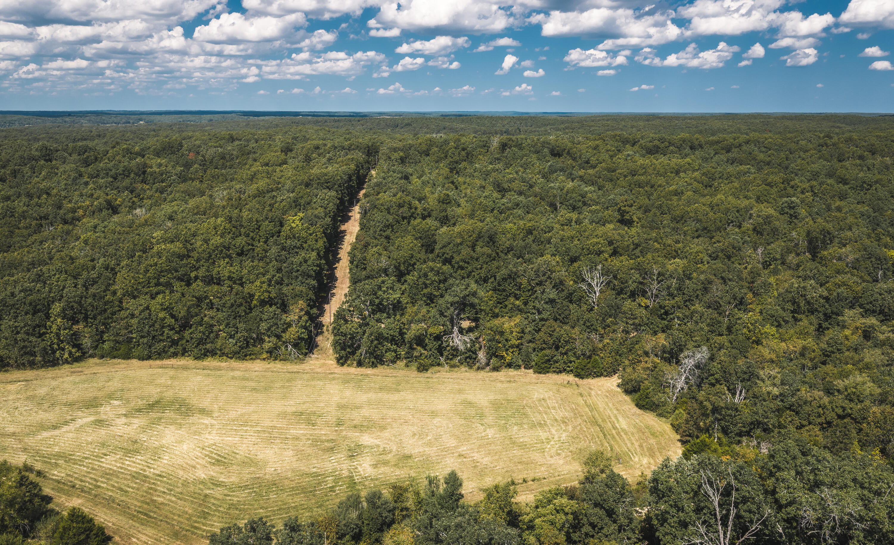 Photo 72 - Farm for sale – 9223  State Highway 32   Salem, MO