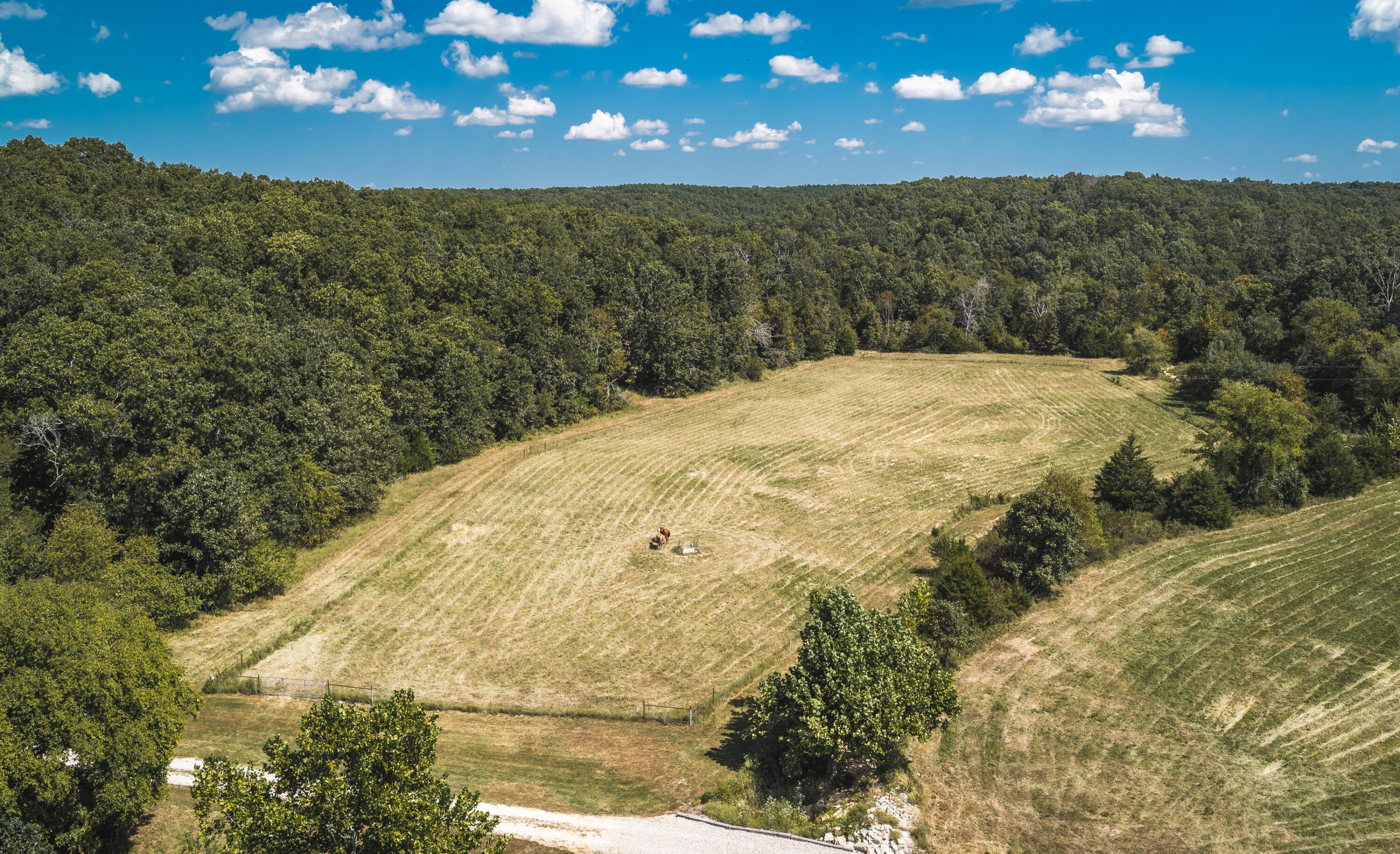 Photo 67 - Farm for sale – 9223  State Highway 32   Salem, MO