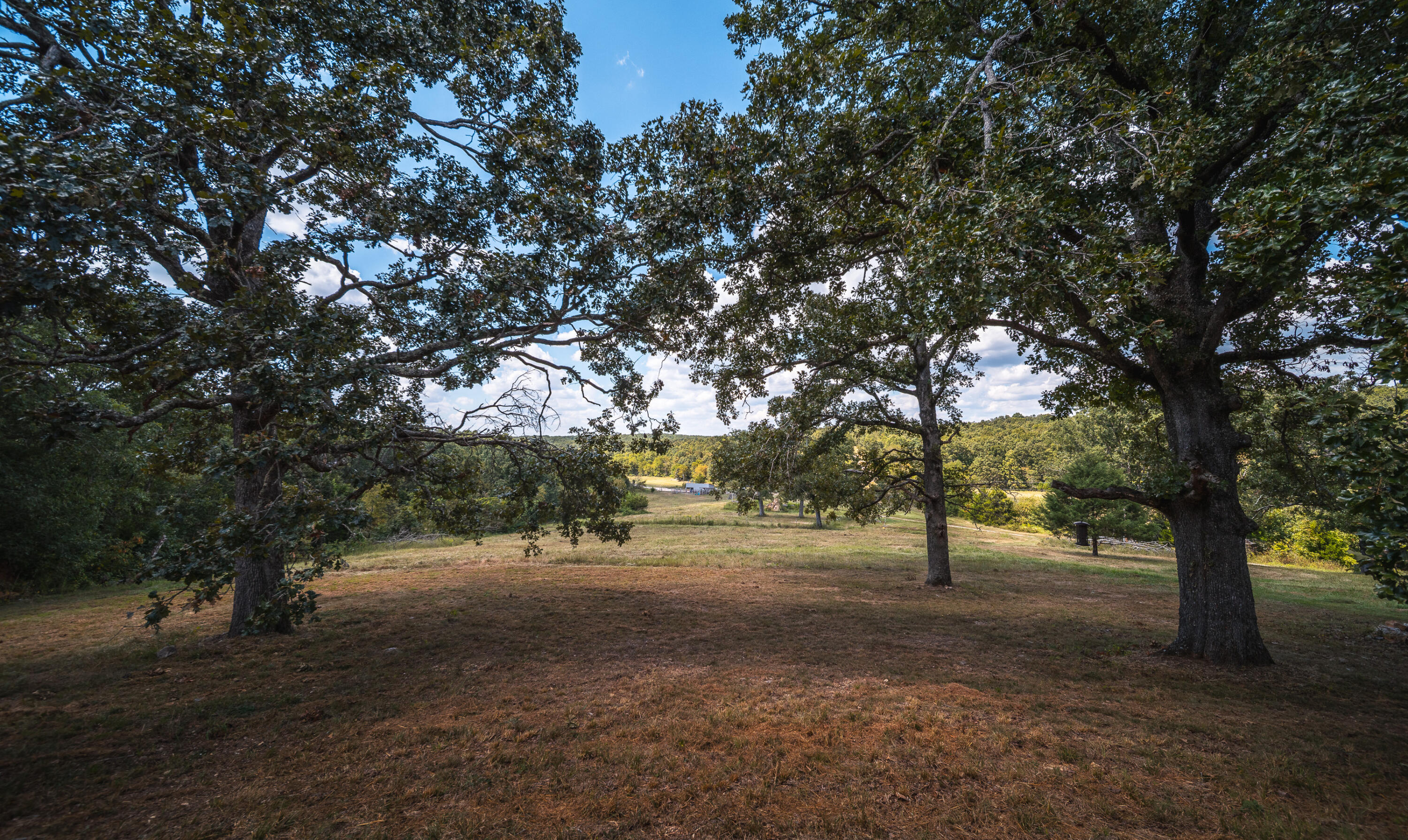 Photo 95 - Farm for sale – 9223  State Highway 32   Salem, MO