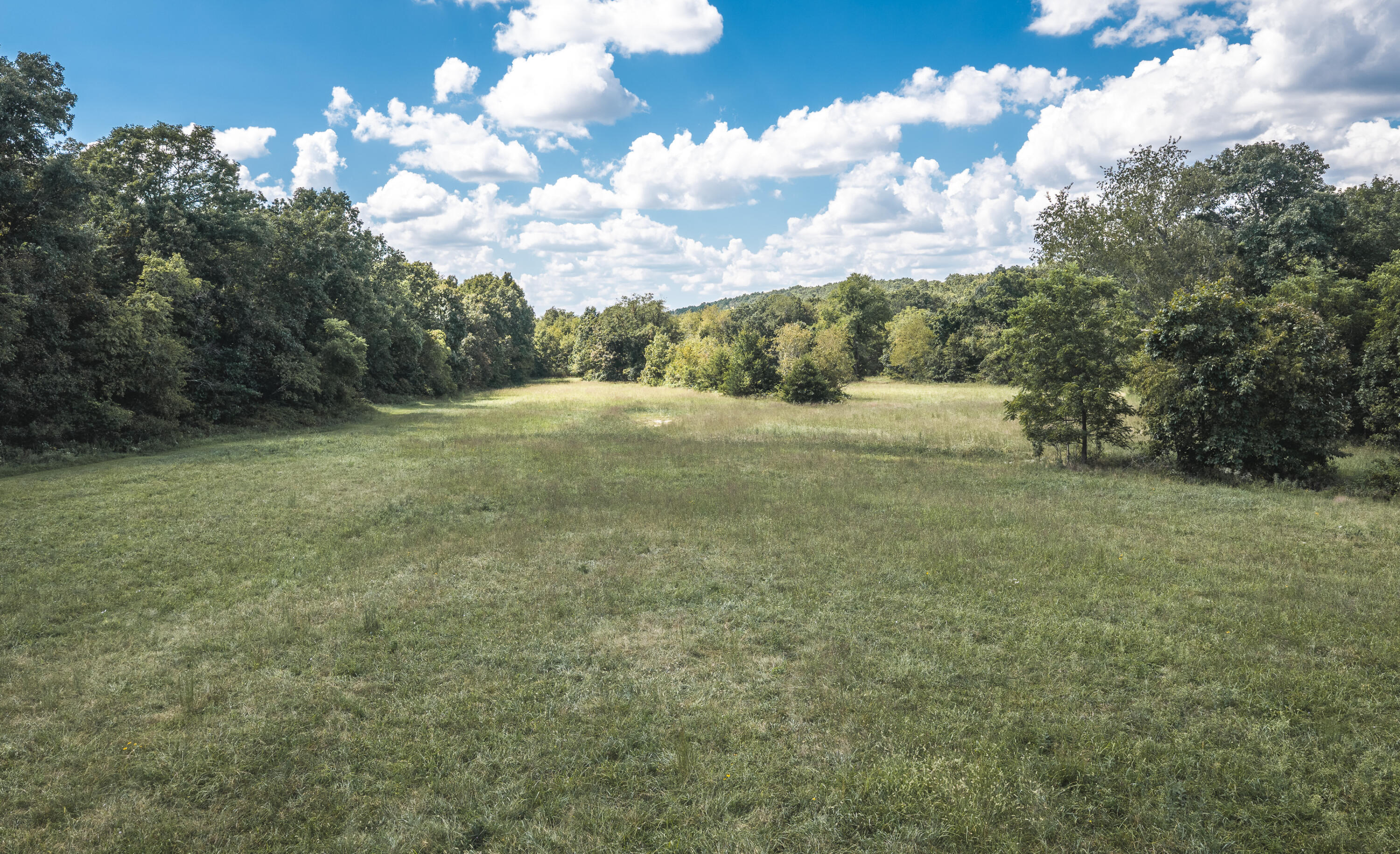 Photo 94 - Farm for sale – 9223  State Highway 32   Salem, MO