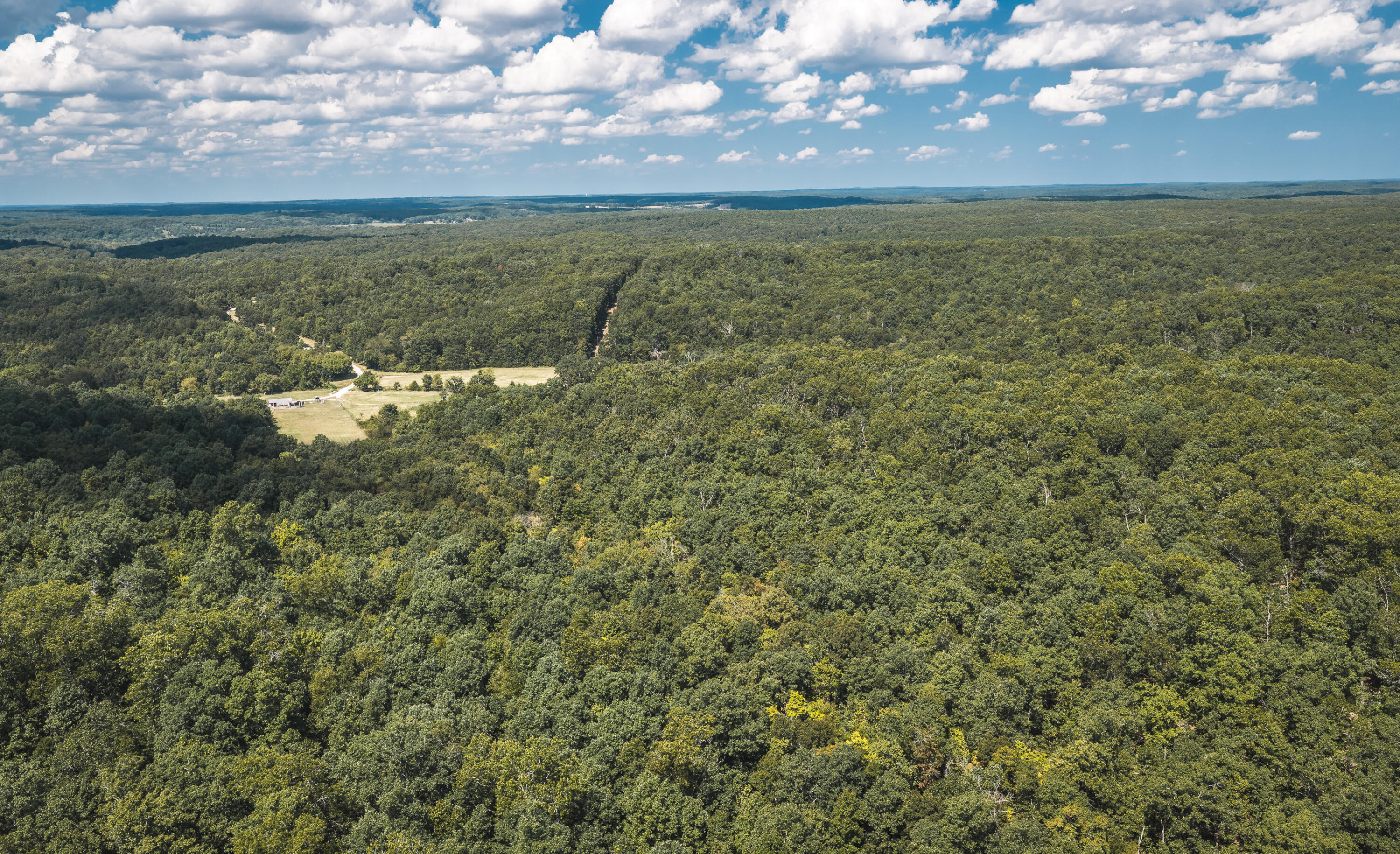 Photo 100 - Farm for sale – 9223  State Highway 32   Salem, MO