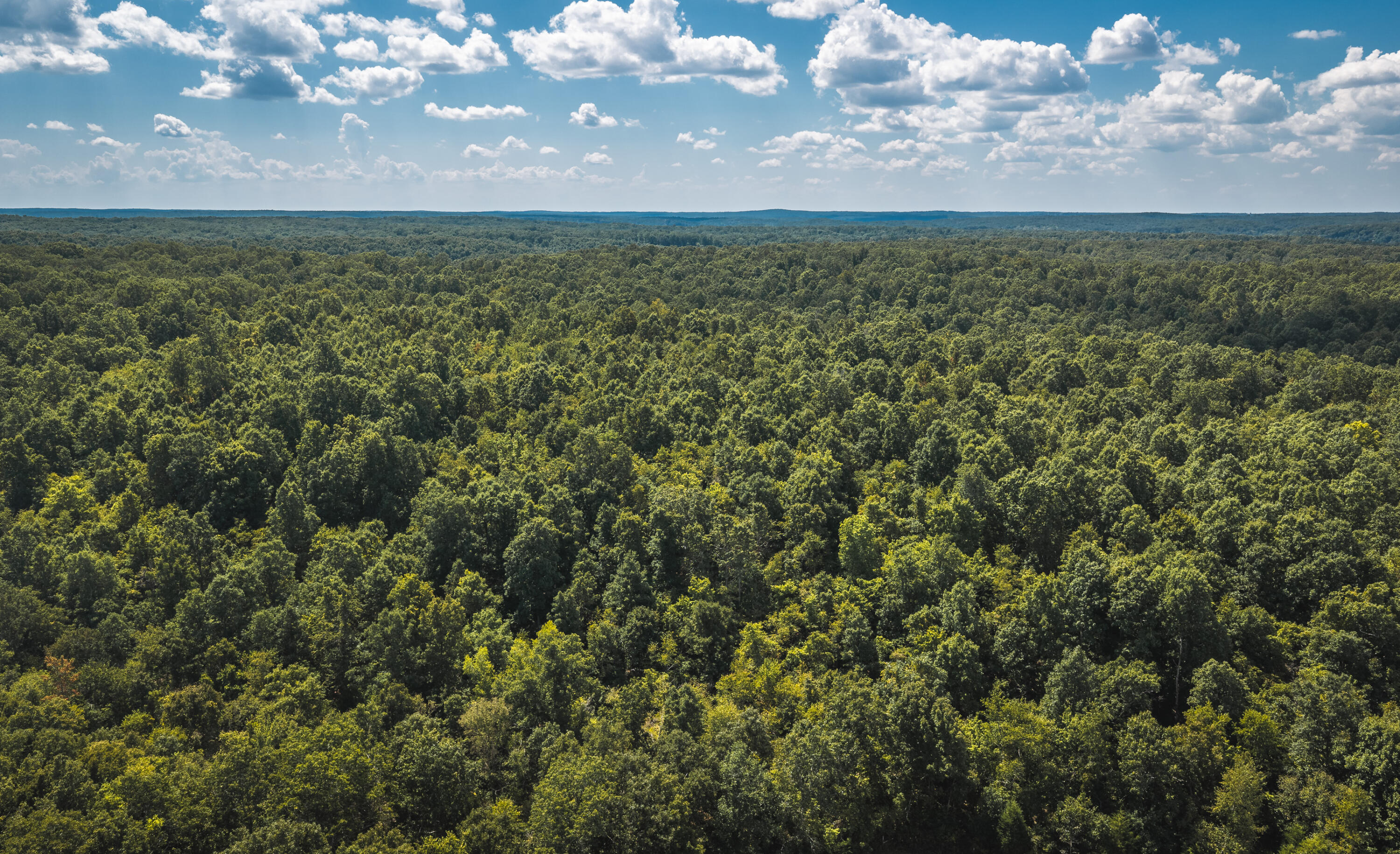 Photo 82 - Farm for sale – 9223  State Highway 32   Salem, MO
