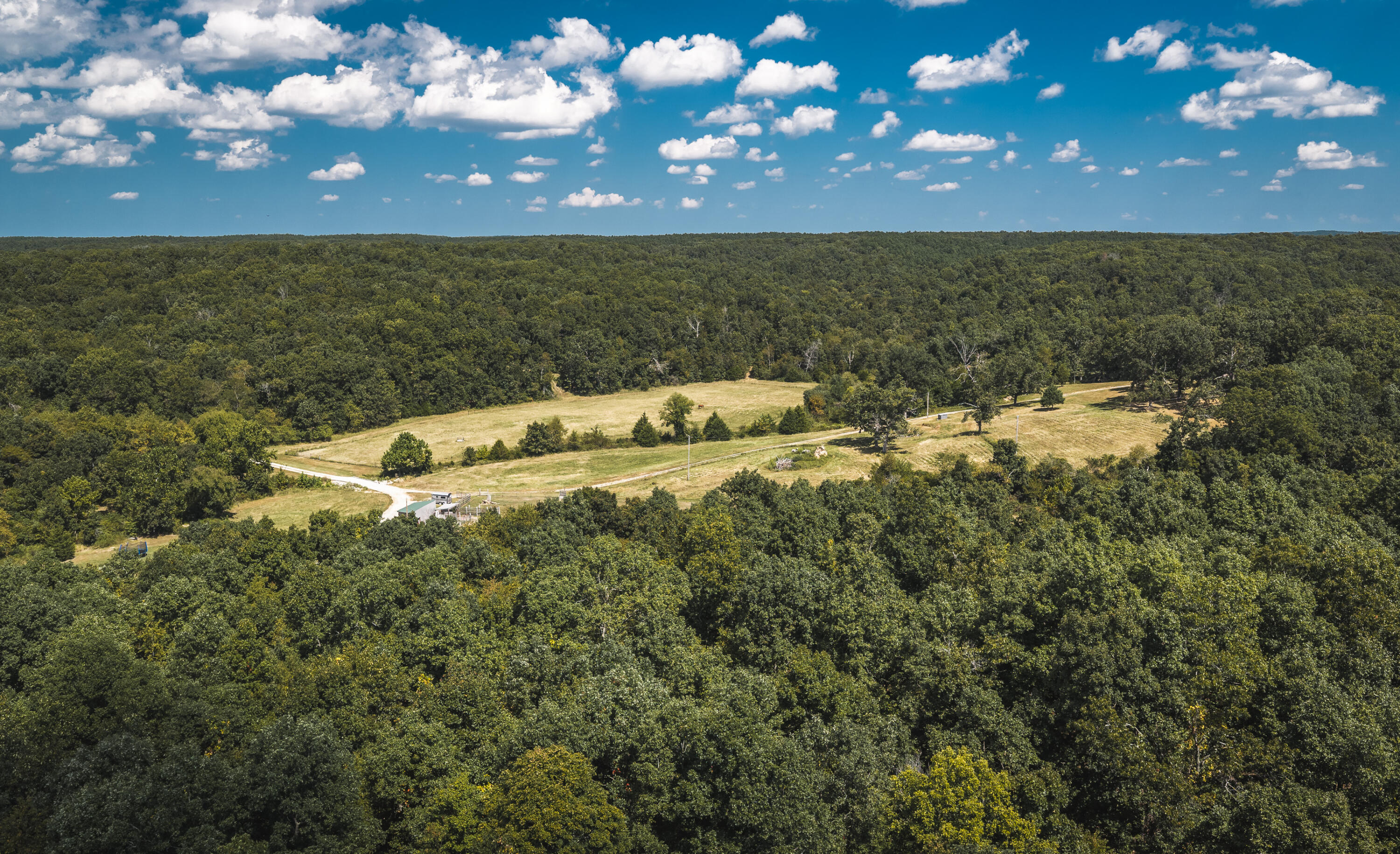 Photo 98 - Farm for sale – 9223  State Highway 32   Salem, MO