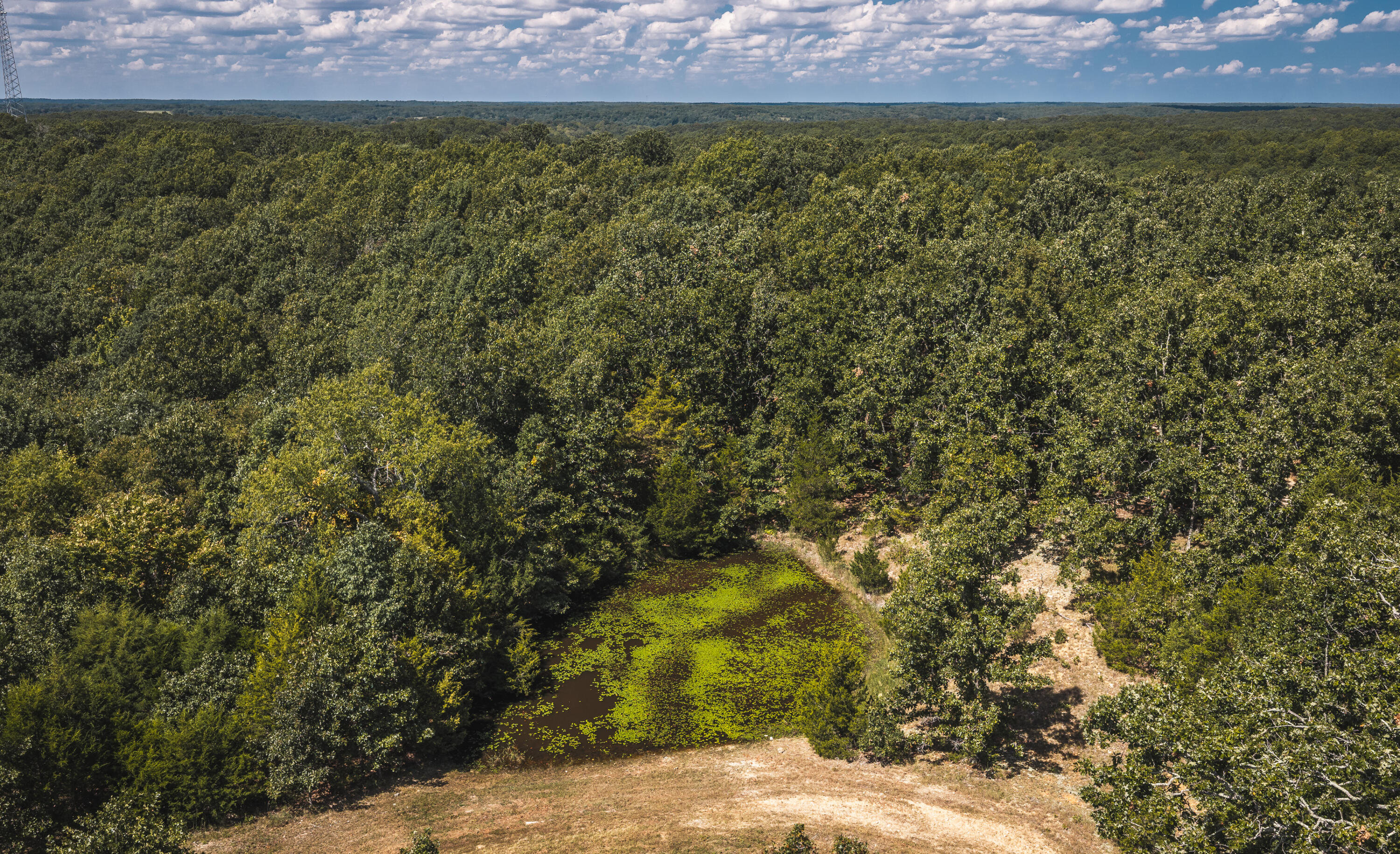 Photo 70 - Farm for sale – 9223  State Highway 32   Salem, MO