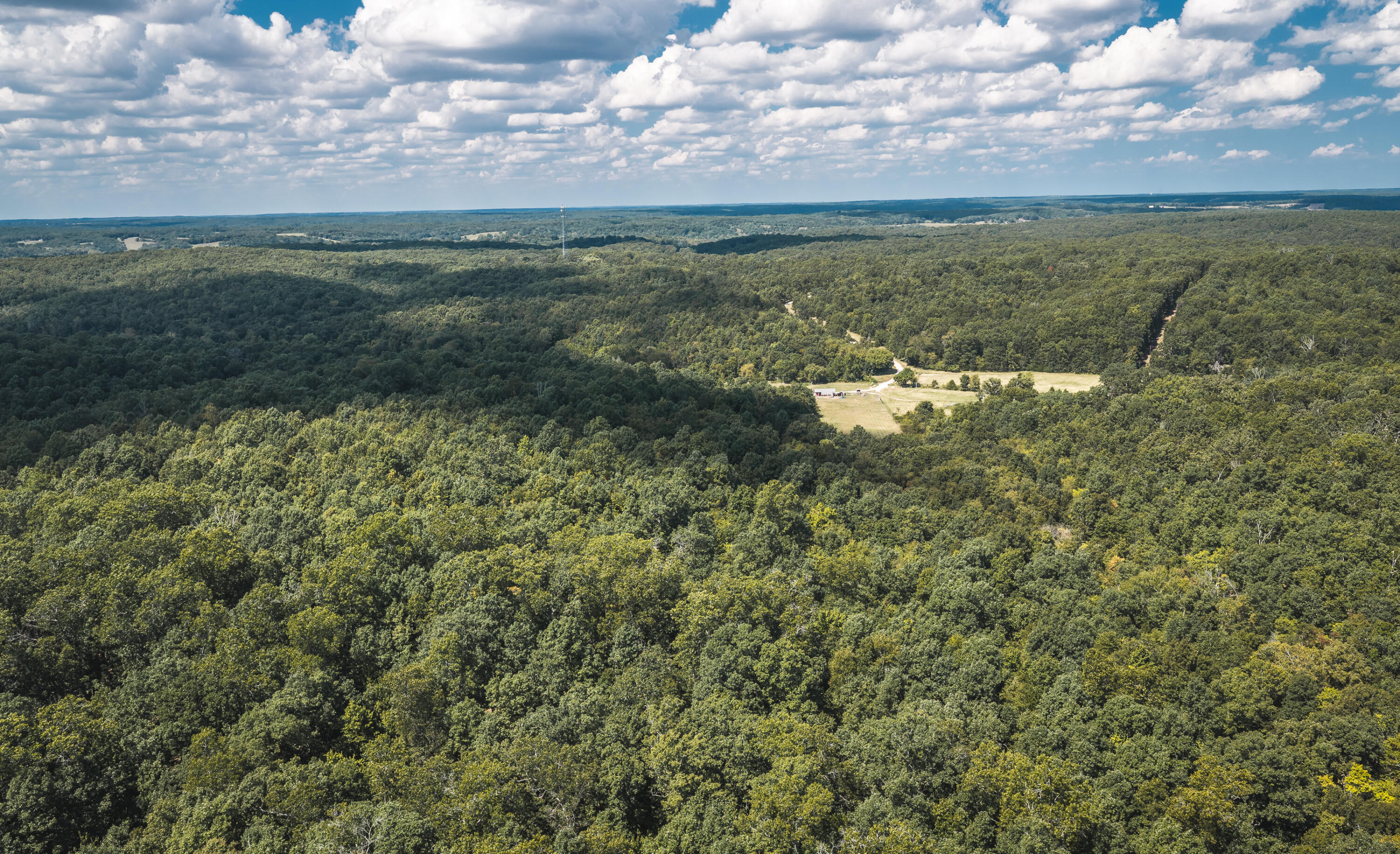 Photo 90 - Farm for sale – 9223  State Highway 32   Salem, MO