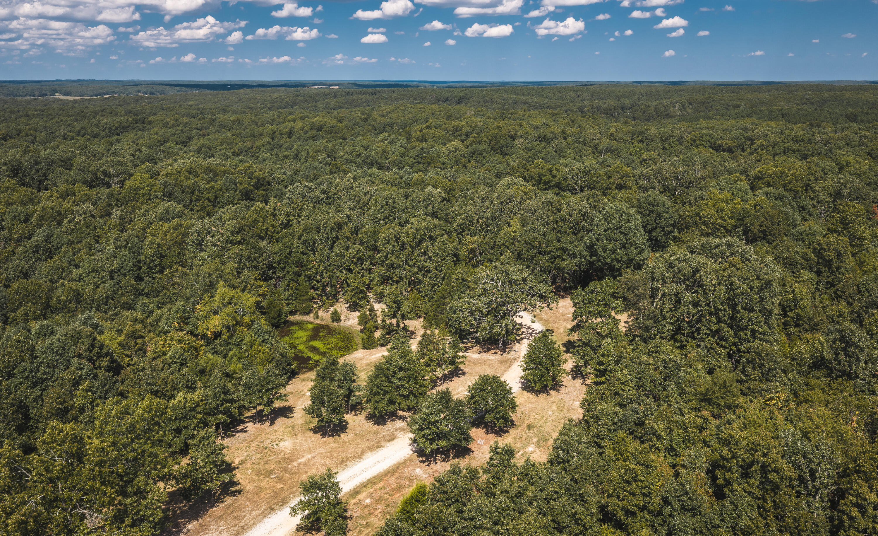 Photo 3 - Farm for sale – 9223  State Highway 32   Salem, MO