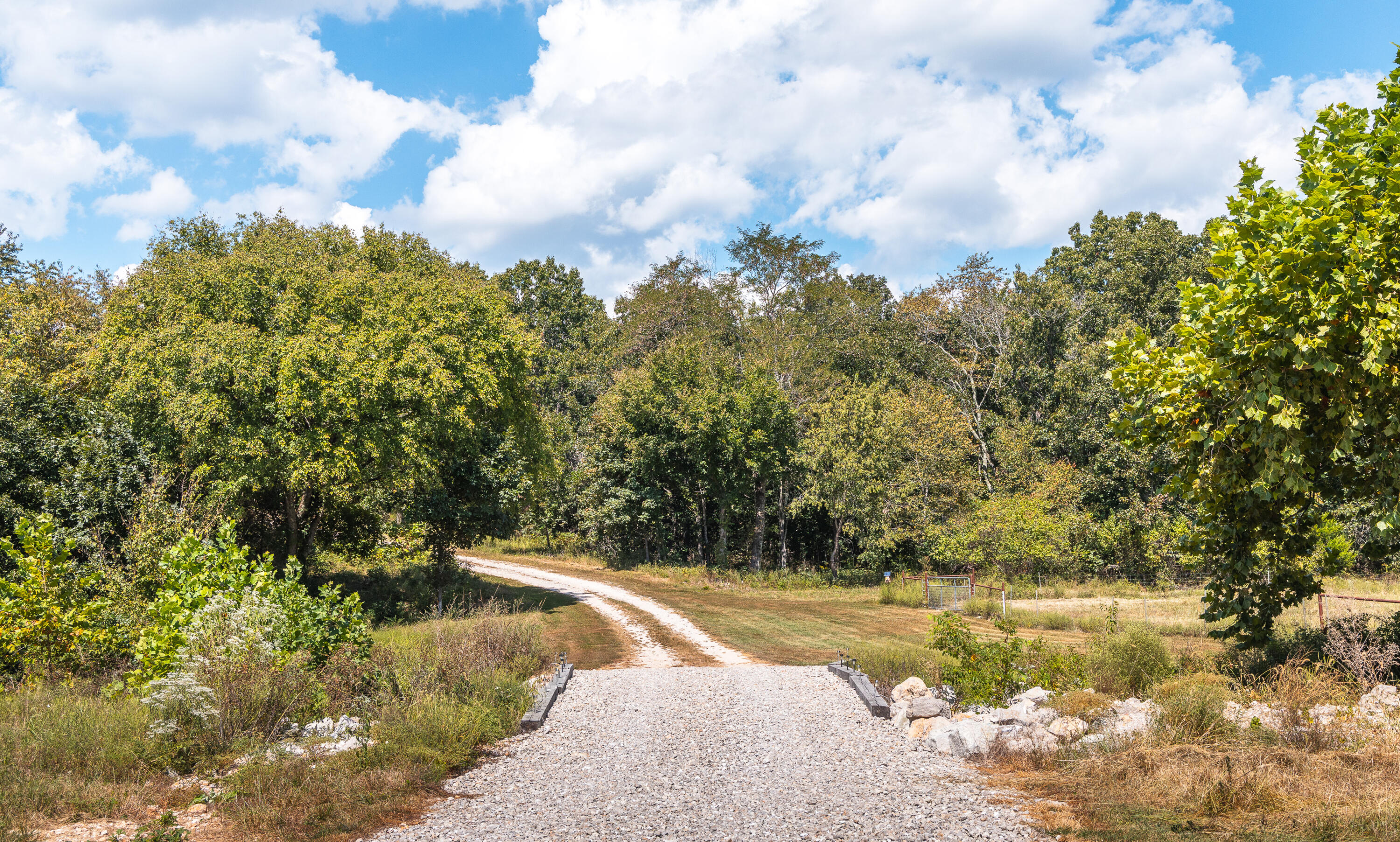 Photo 88 - Farm for sale – 9223  State Highway 32   Salem, MO