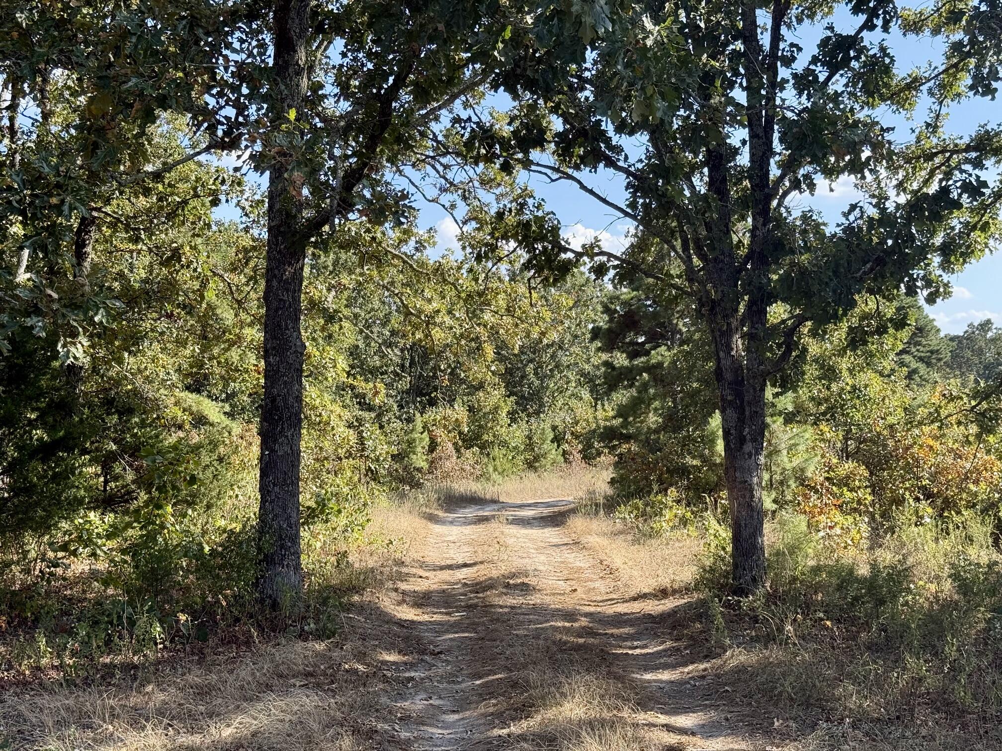 Photo 4 - Land for sale – 000  Highway 32   Roby, MO