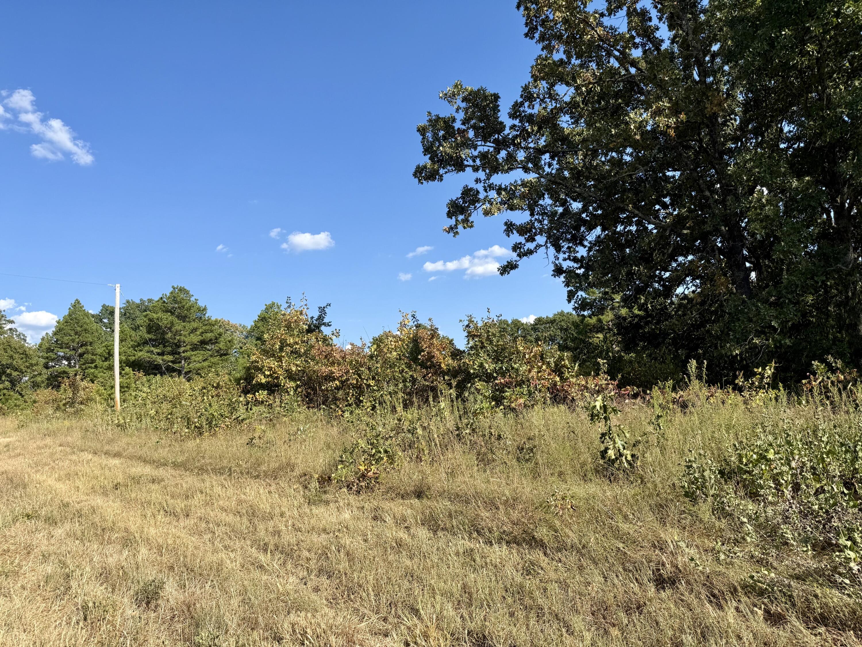Photo 3 - Land for sale – 000  Highway 32   Roby, MO