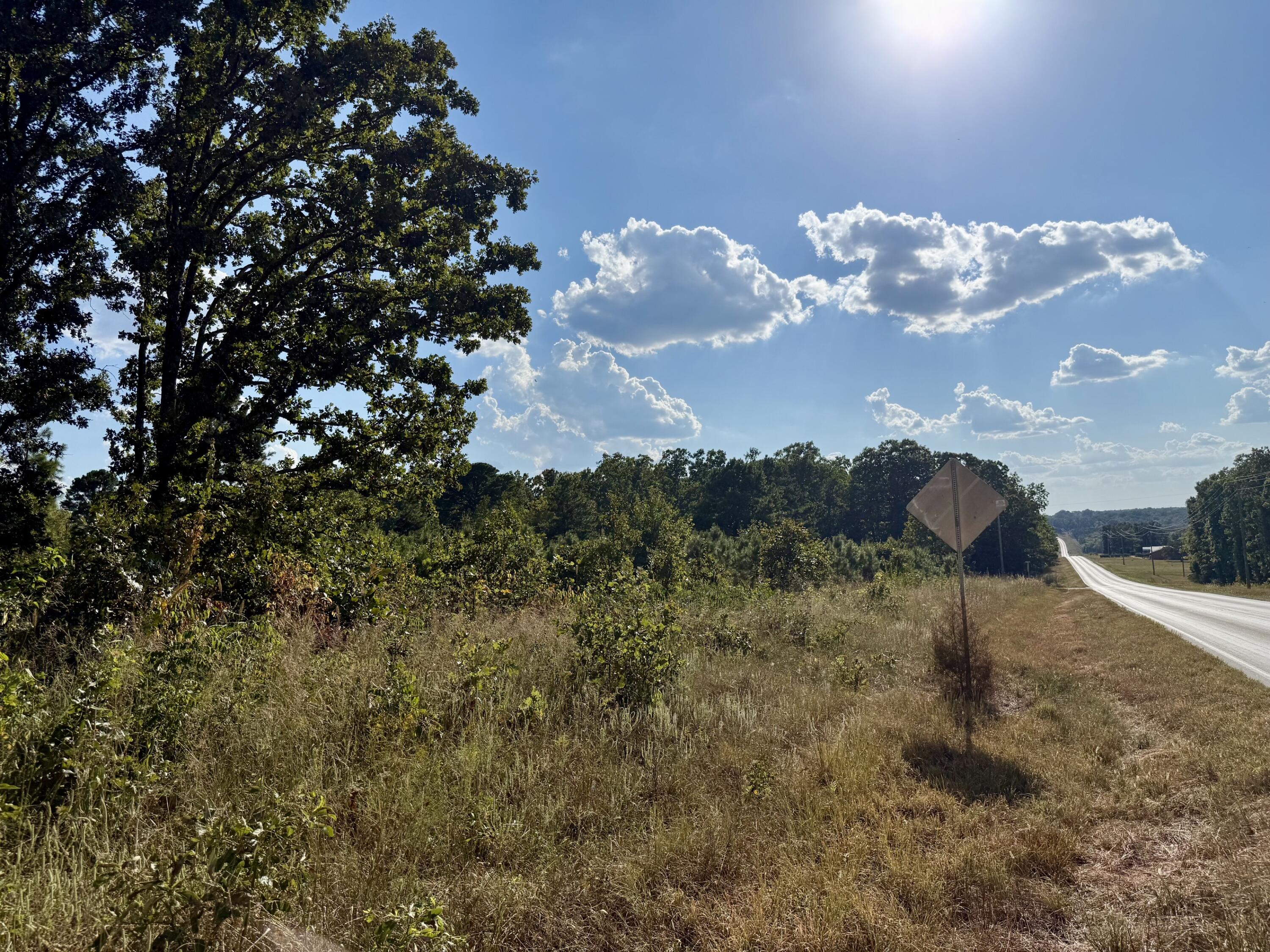 Photo 5 - Land for sale – 000  Highway 32   Roby, MO