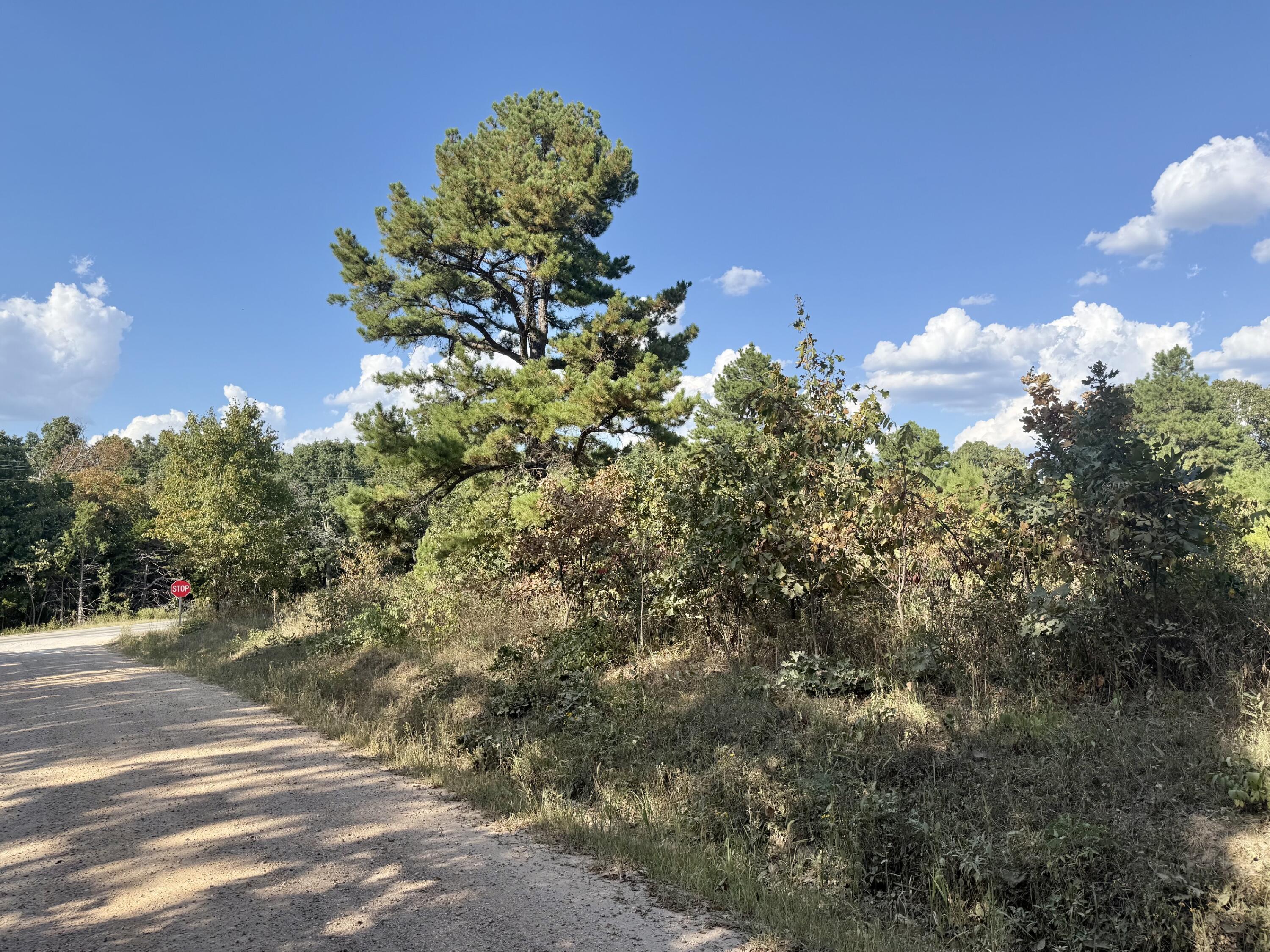 Photo 7 - Land for sale – 000  Highway 32   Roby, MO