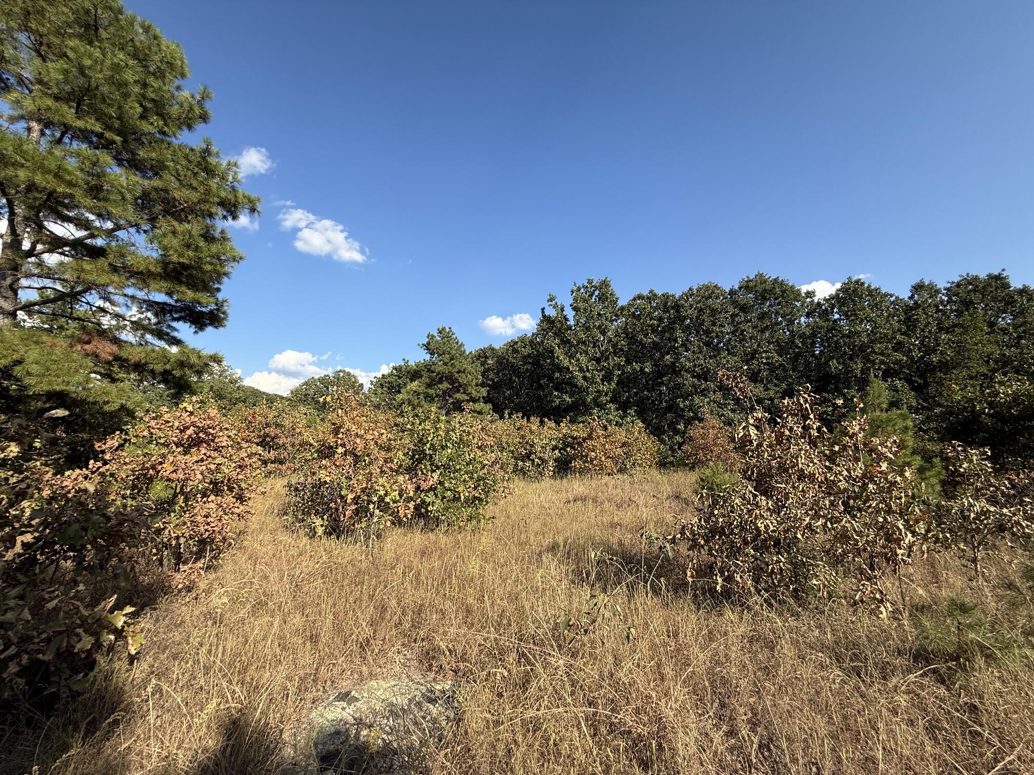 Photo 6 - Land for sale – 000  Highway 32   Roby, MO