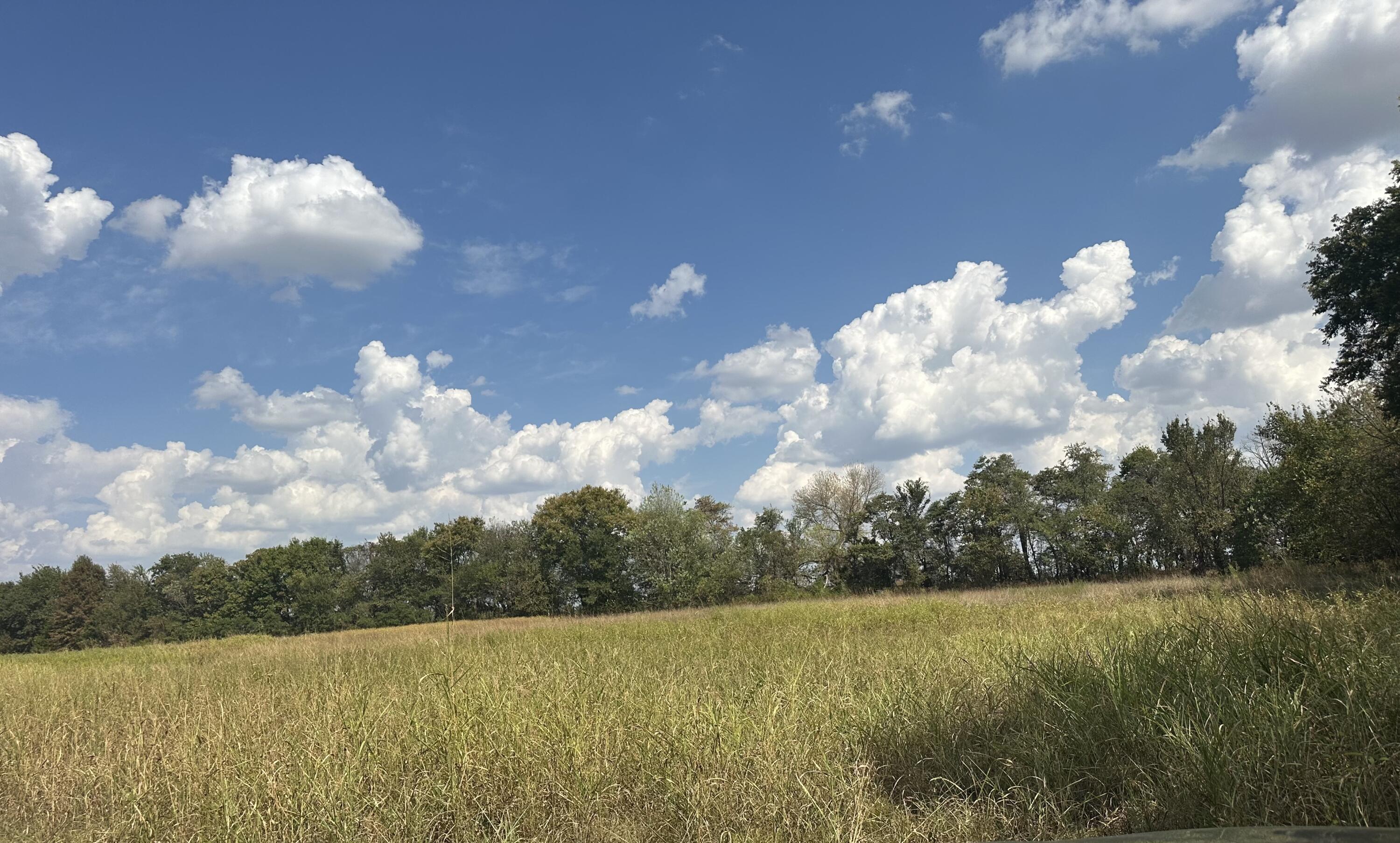 Photo 2 - Land for sale – 1429  Granby Miners Road  Granby, MO
