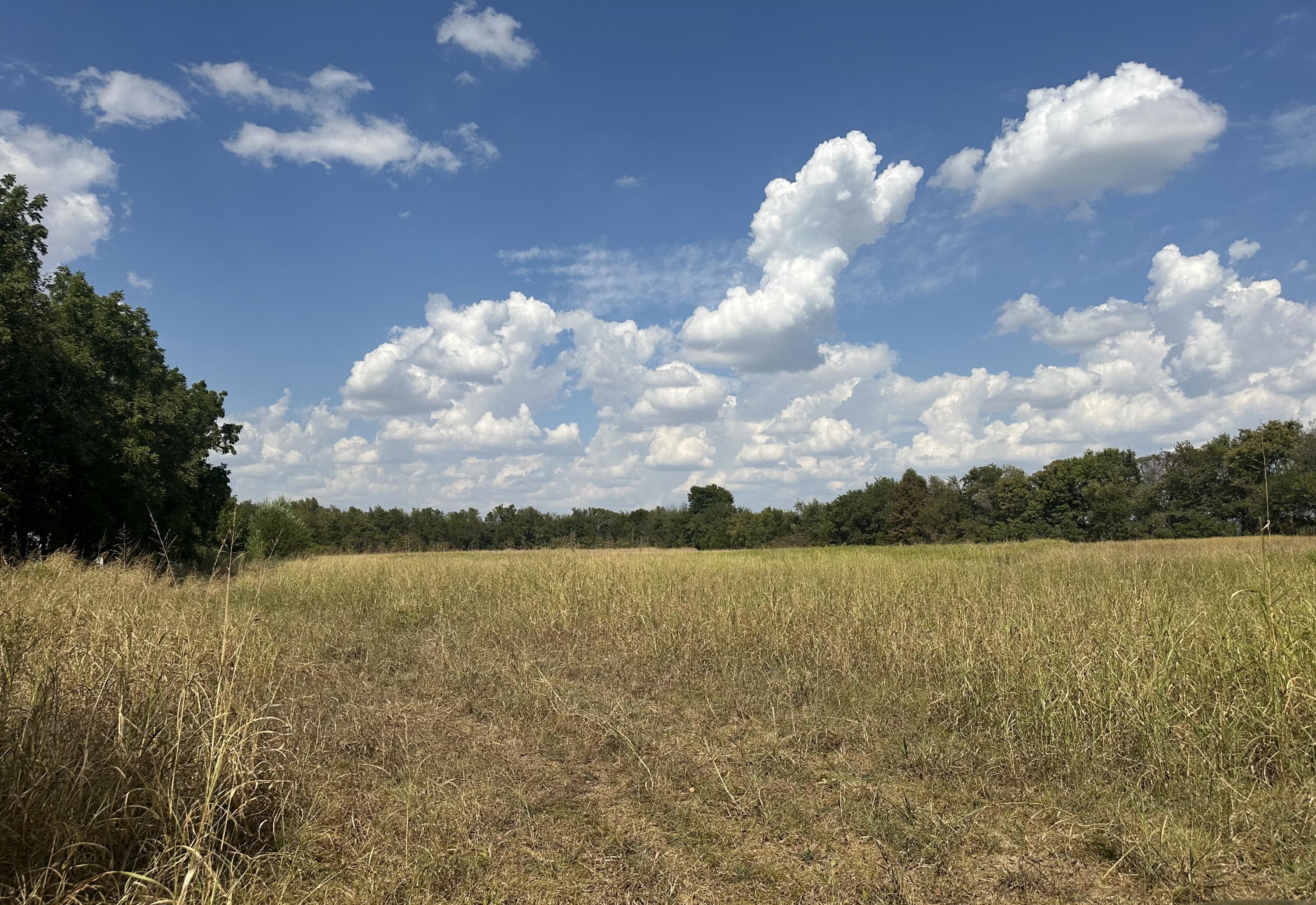 Land for sale – 1429  Granby Miners Road  Granby, MO
