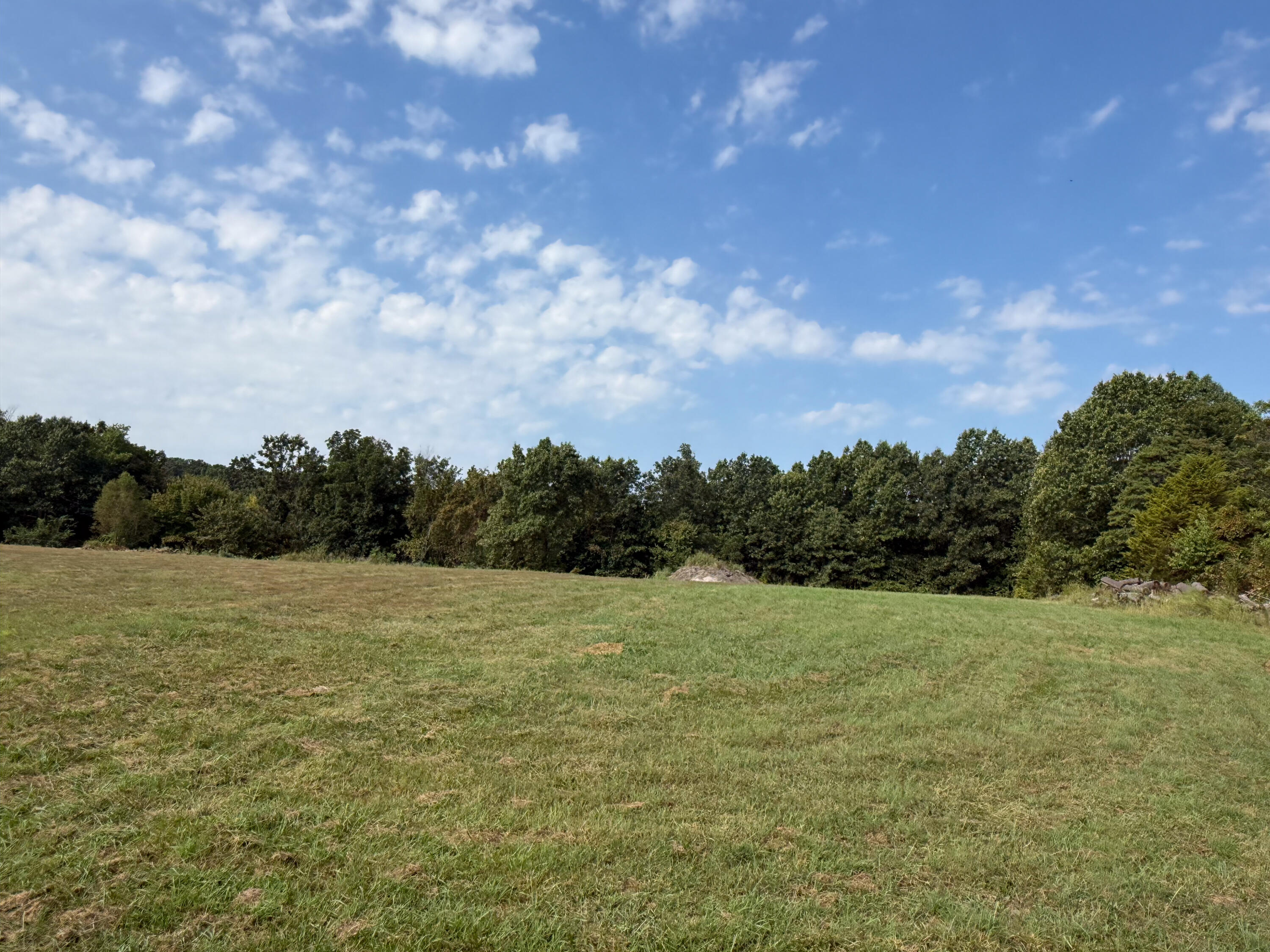 Photo 6 - Commercial Sale for sale – 237  Forest View Dr   Seymour, MO
