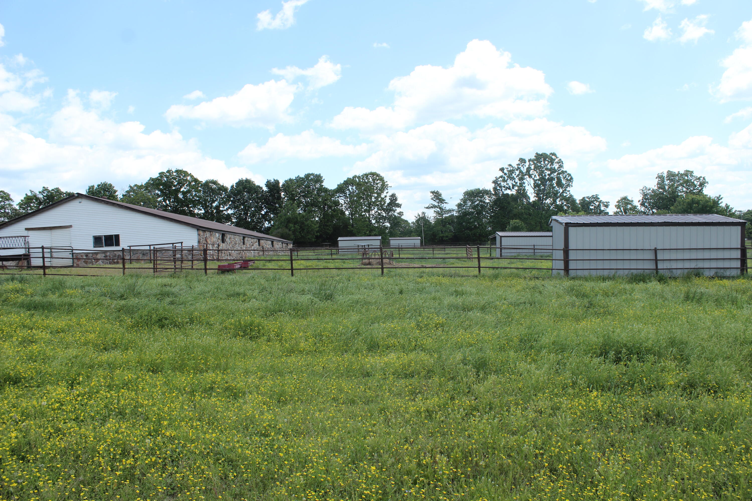 Photo 11 - Farm for sale – 2231  W Highway   Thayer, MO