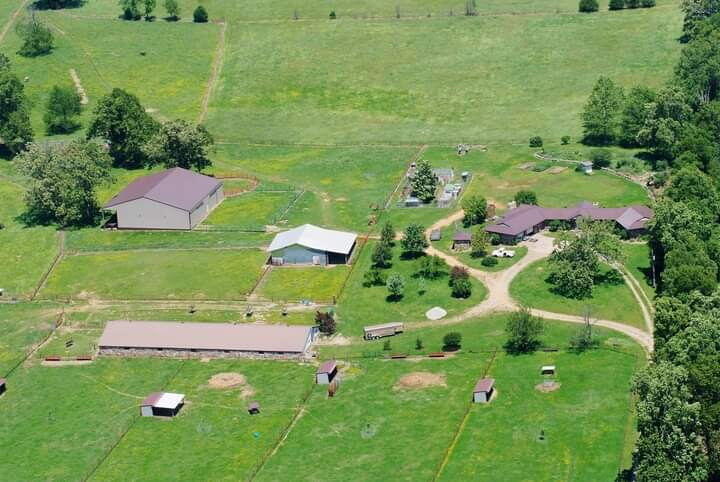 Photo 9 - Farm for sale – 2231  W Highway   Thayer, MO