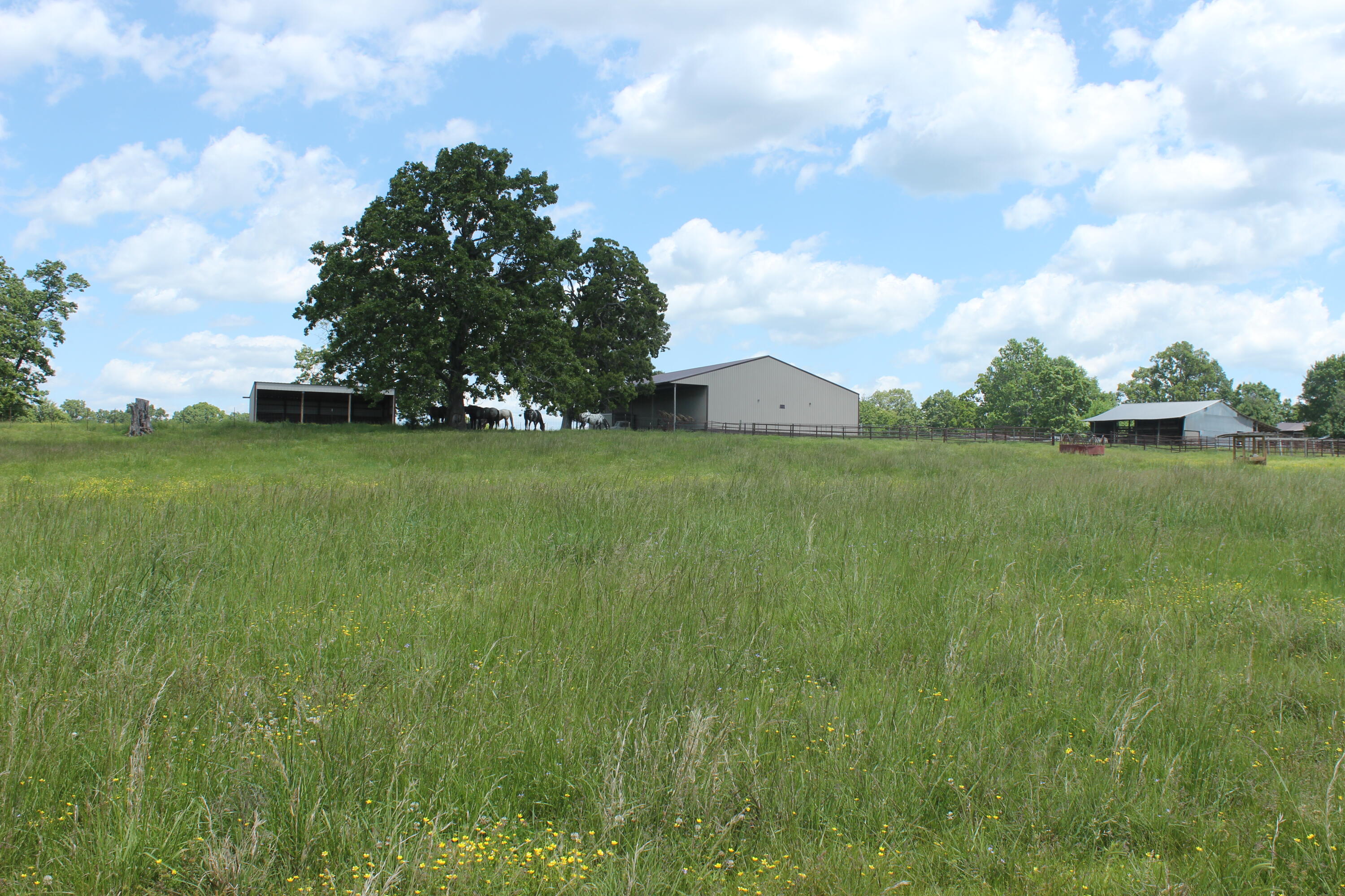 Photo 27 - Farm for sale – 2231  W Highway   Thayer, MO