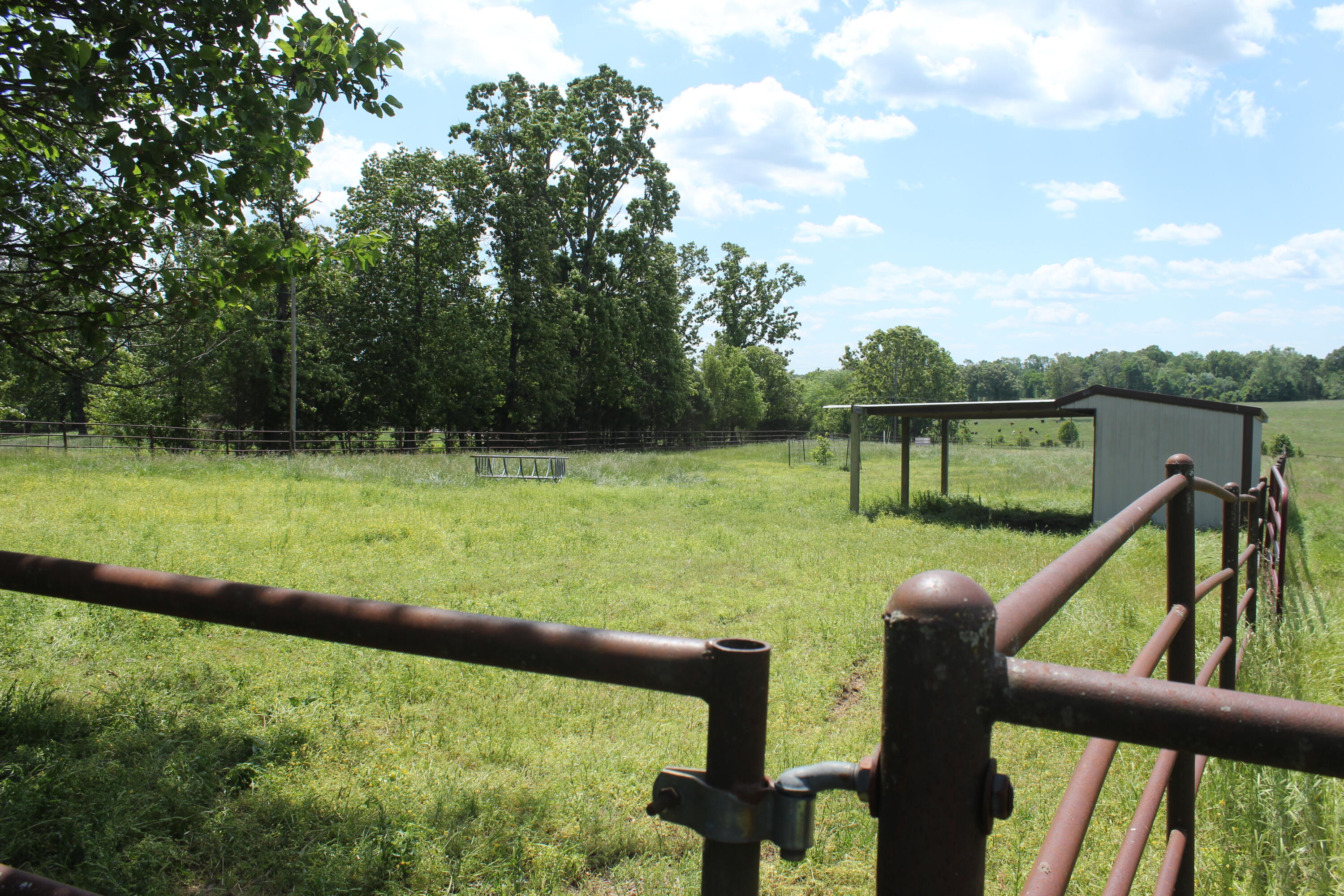 Photo 24 - Farm for sale – 2231  W Highway   Thayer, MO