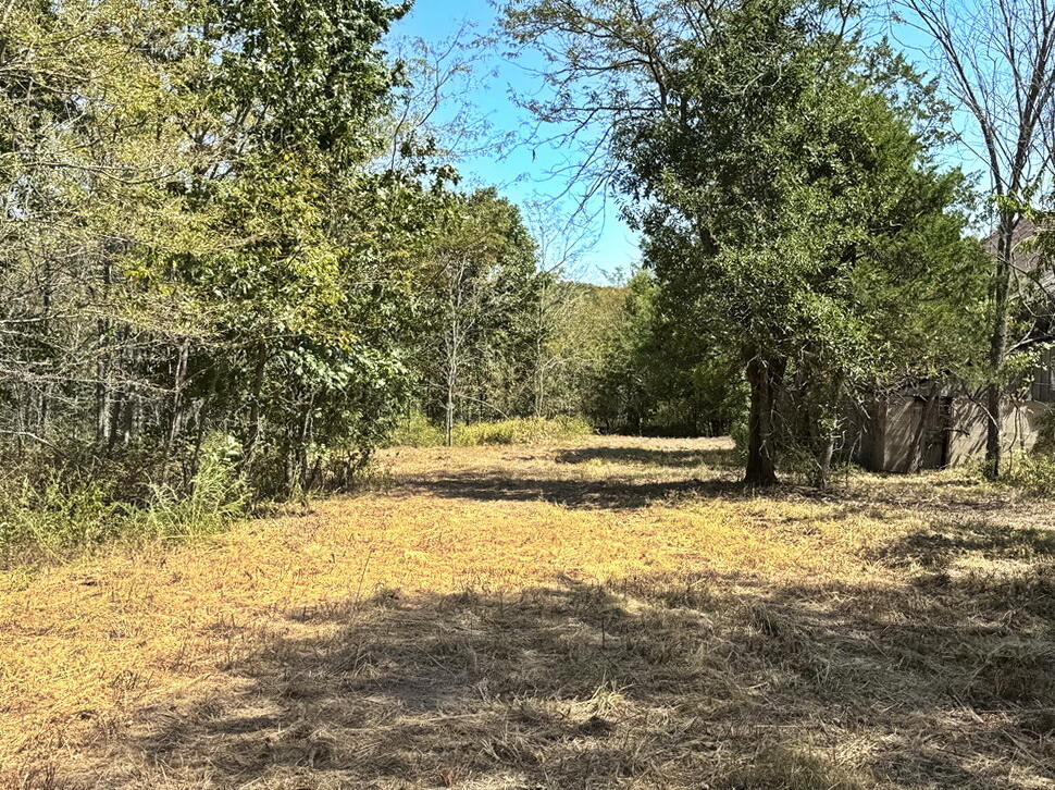 Photo 27 - Land for sale – 000 SE 500 Road  Collins, MO