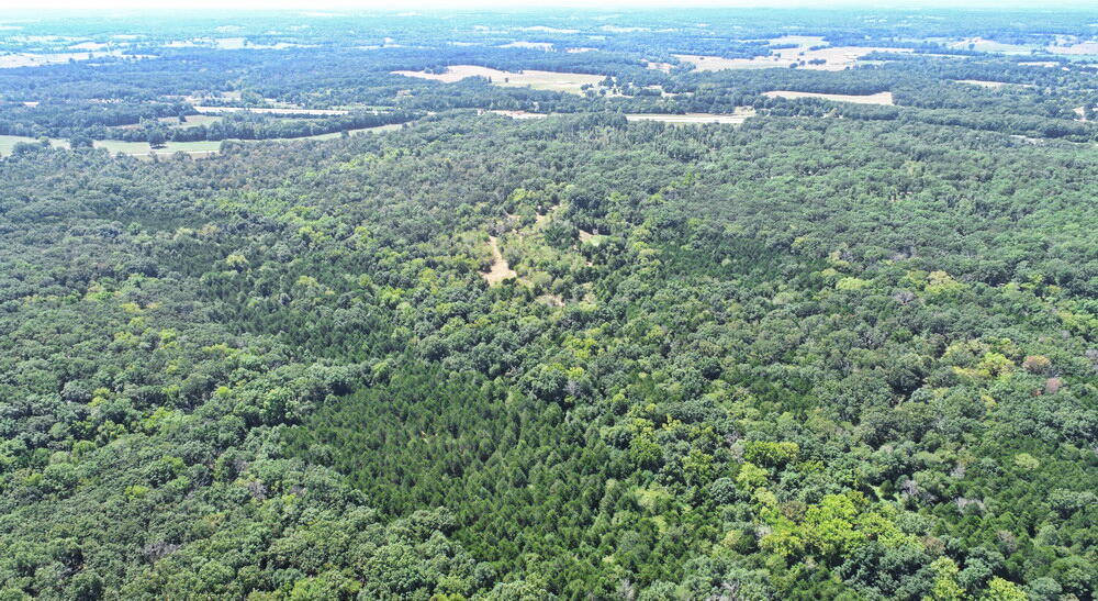 Photo 43 - Land for sale – 000 SE 500 Road  Collins, MO