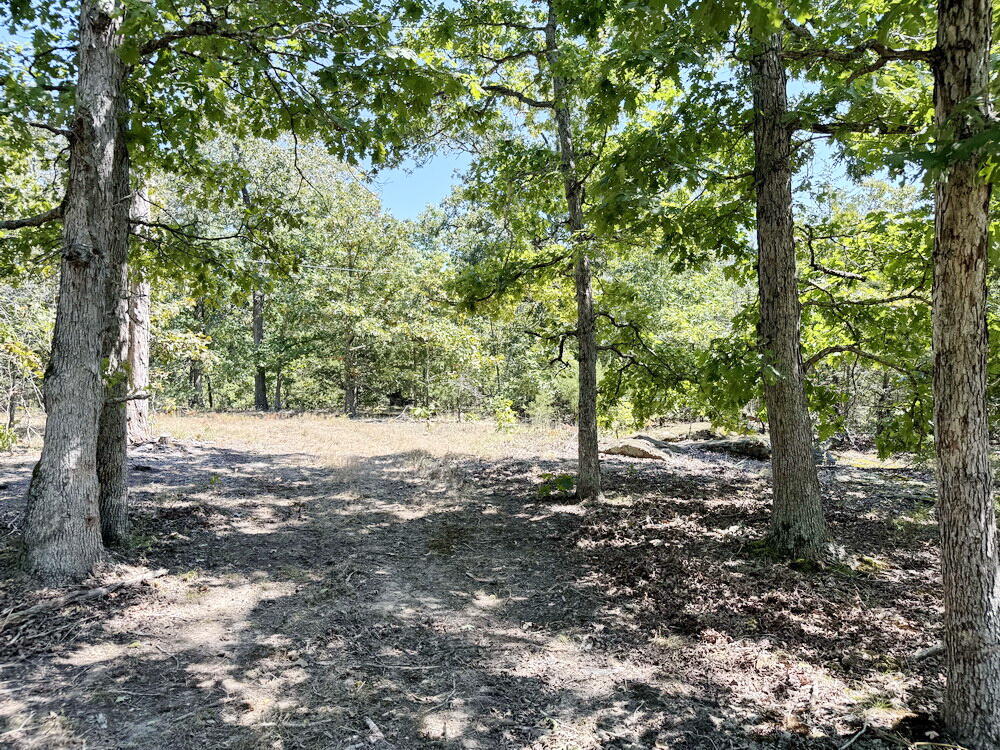 Photo 18 - Land for sale – 000 SE 500 Road  Collins, MO