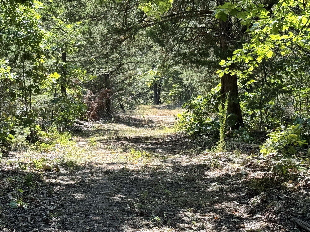 Photo 30 - Land for sale – 000 SE 500 Road  Collins, MO