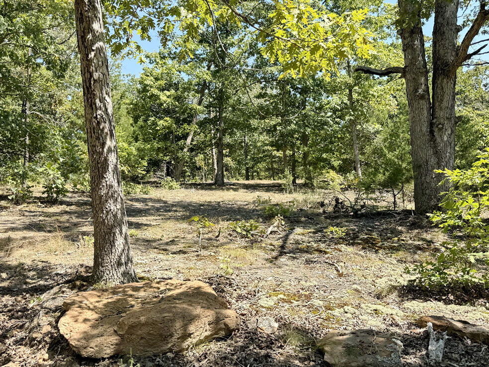 Photo 17 - Land for sale – 000 SE 500 Road  Collins, MO