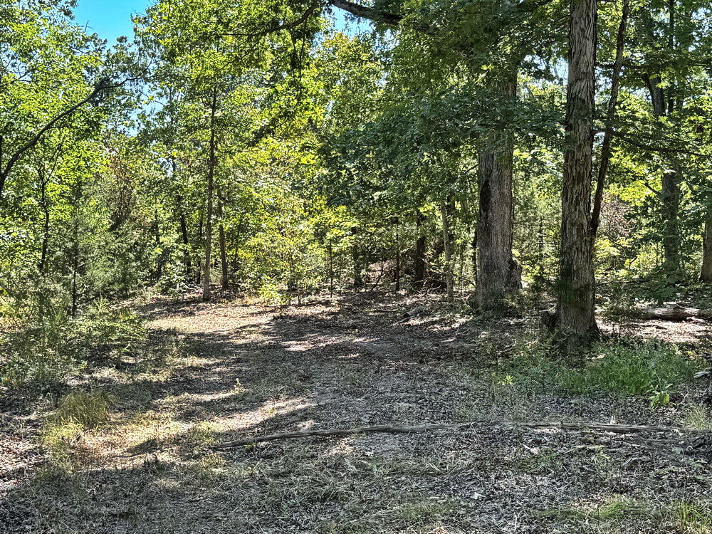 Photo 31 - Land for sale – 000 SE 500 Road  Collins, MO