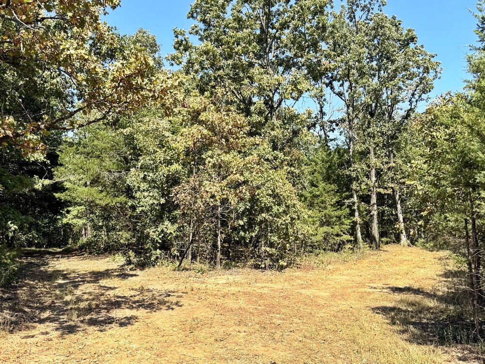 Photo 38 - Land for sale – 000 SE 500 Road  Collins, MO
