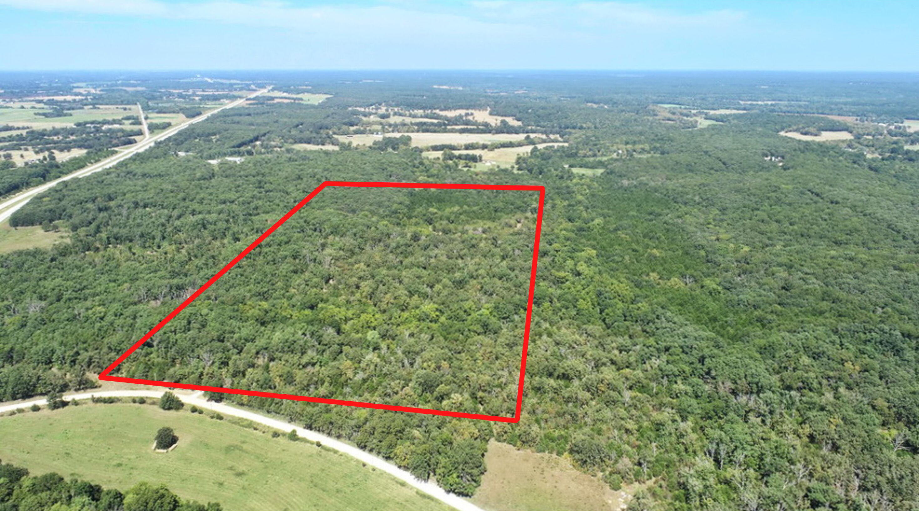 Photo 3 - Land for sale – 000 SE 500 Road  Collins, MO