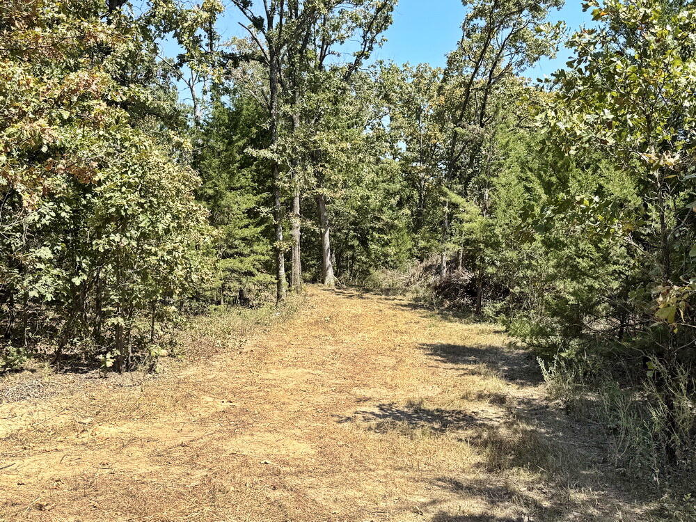 Photo 6 - Land for sale – 000 SE 500 Road  Collins, MO