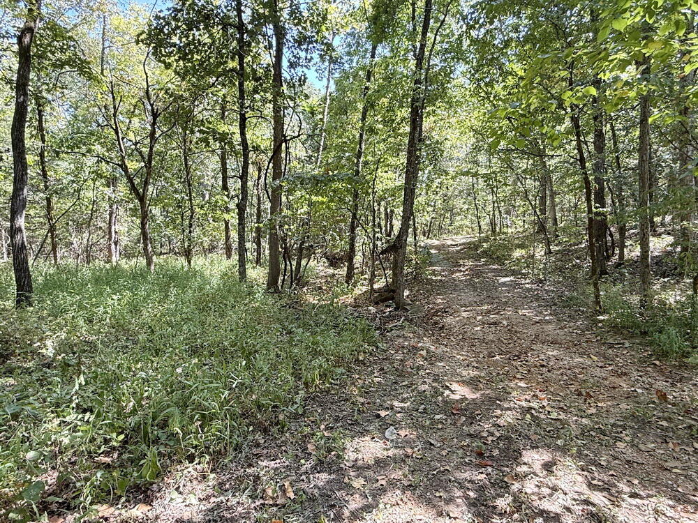 Photo 35 - Land for sale – 000 SE 500 Road  Collins, MO