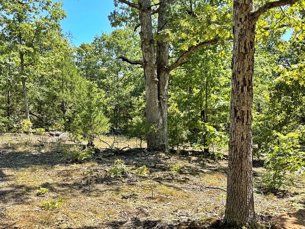 Photo 34 - Land for sale – 000 SE 500 Road  Collins, MO