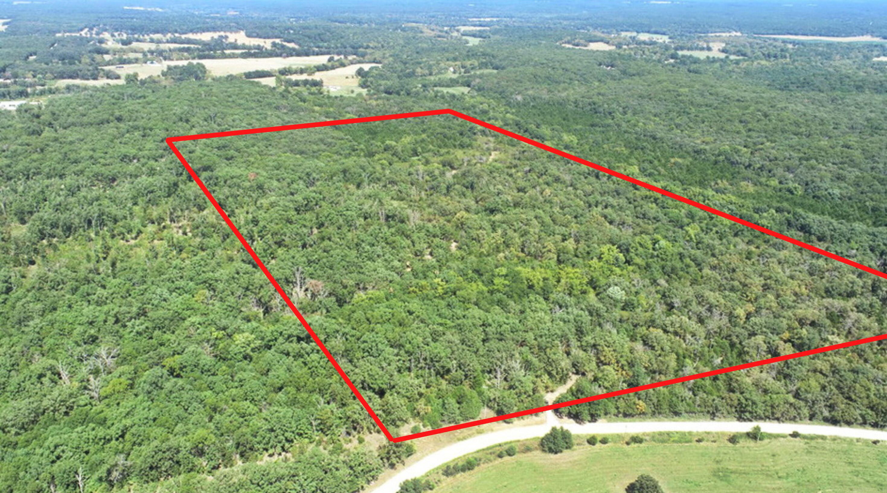 Photo 2 - Land for sale – 000 SE 500 Road  Collins, MO
