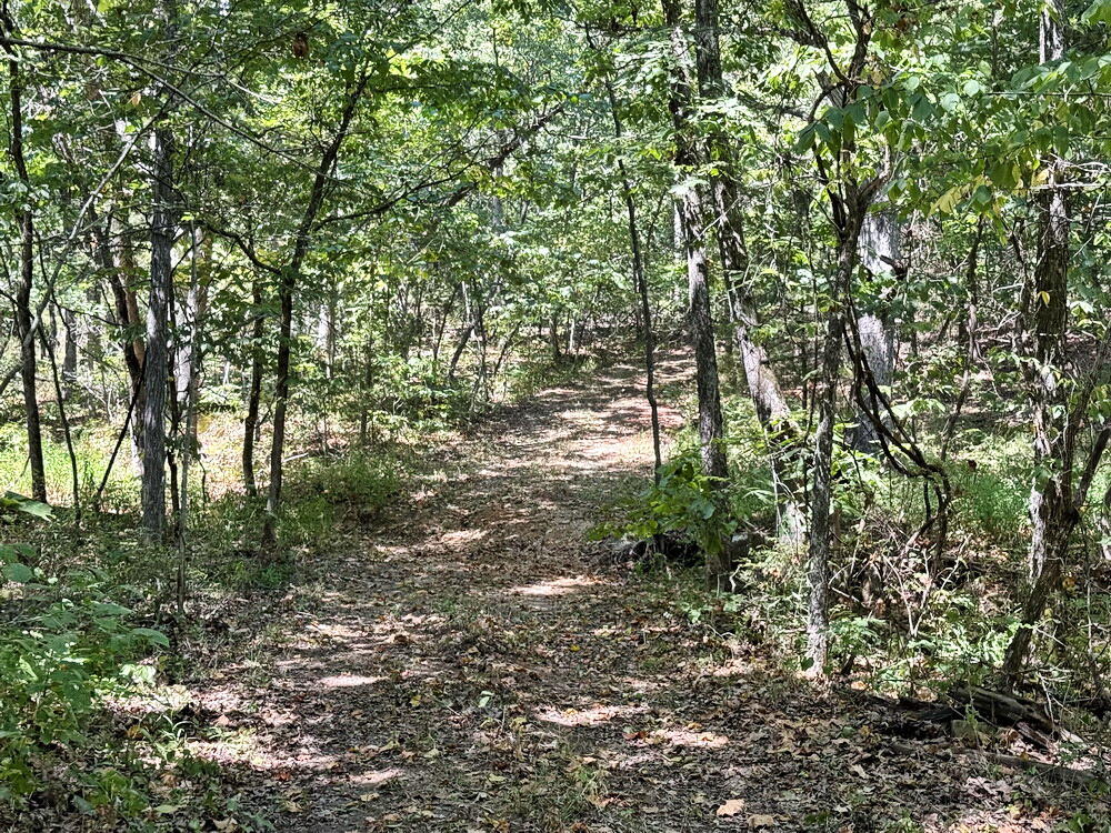 Photo 11 - Land for sale – 000 SE 500 Road  Collins, MO