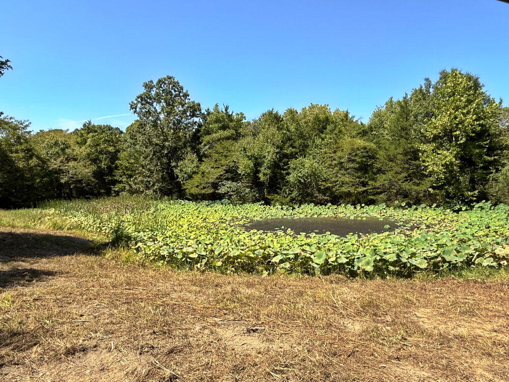 Photo 29 - Land for sale – 000 SE 500 Road  Collins, MO