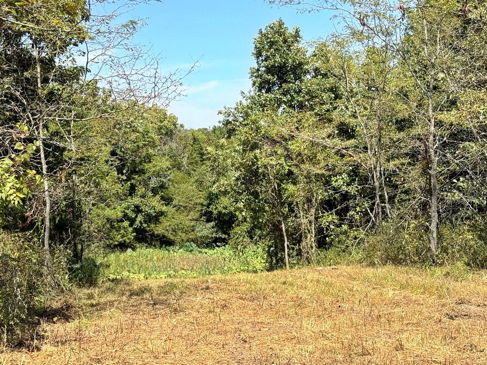 Photo 25 - Land for sale – 000 SE 500 Road  Collins, MO